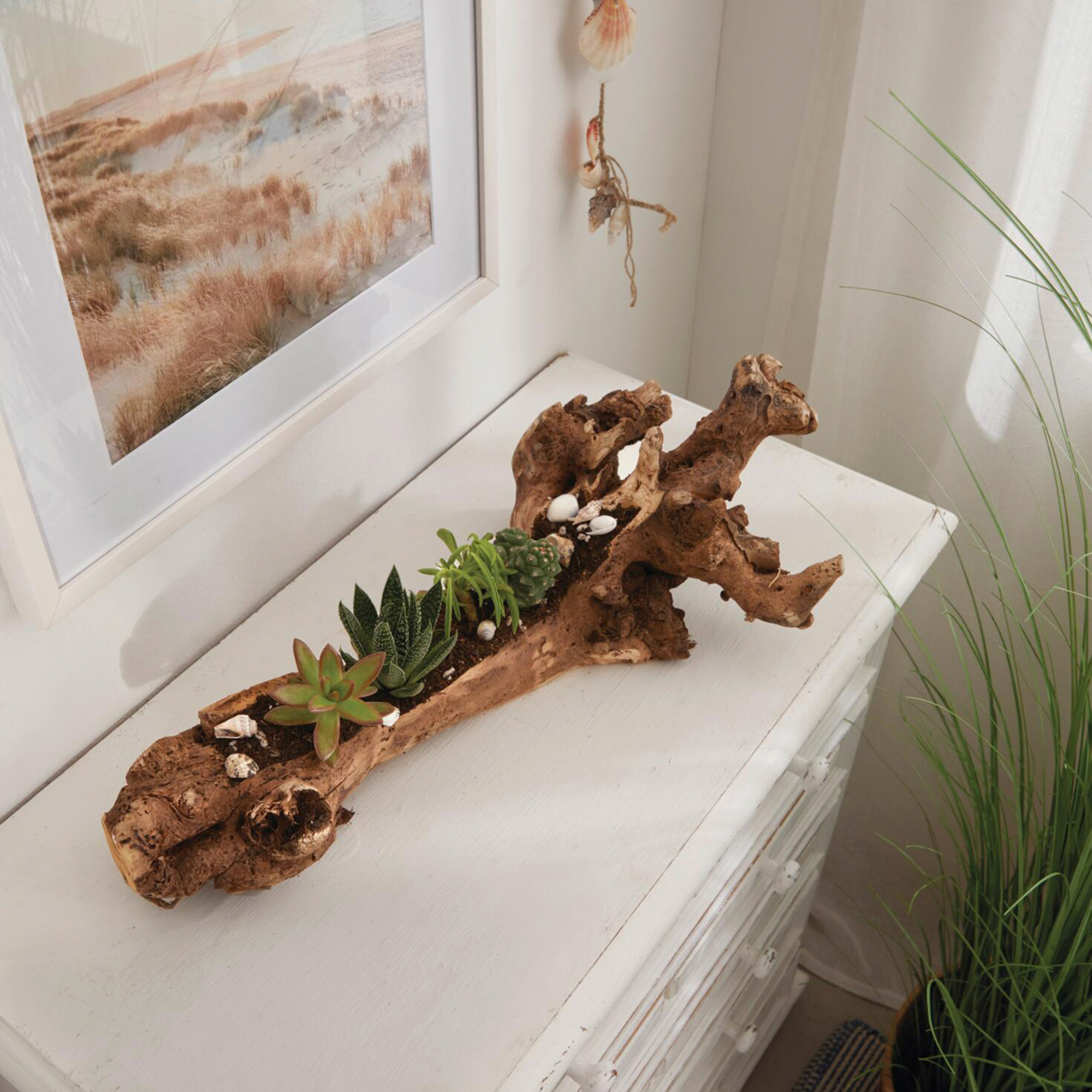 Dekowurzel "Rustic Art"  im Frank Flechtwaren Online Shop kaufen