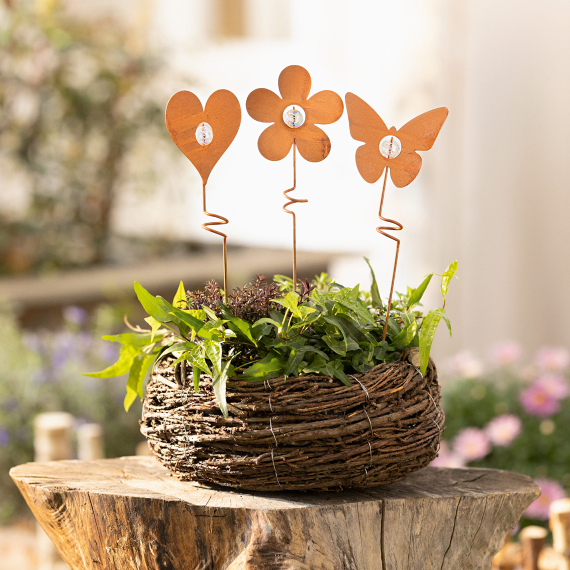 Stecker "Rosttrio", 3er Set  im Frank Flechtwaren Online Shop kaufen