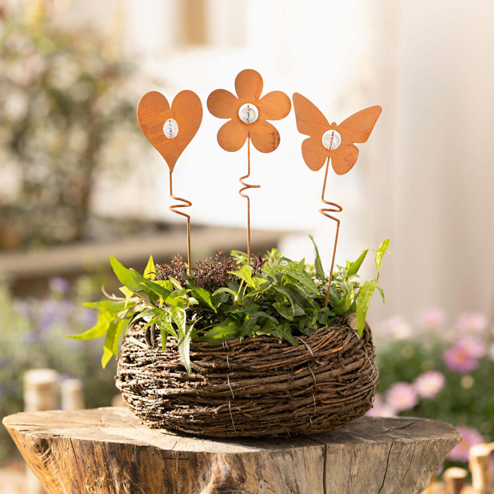 Stecker "Rosttrio", 3er Set  im Frank Flechtwaren Online Shop kaufen