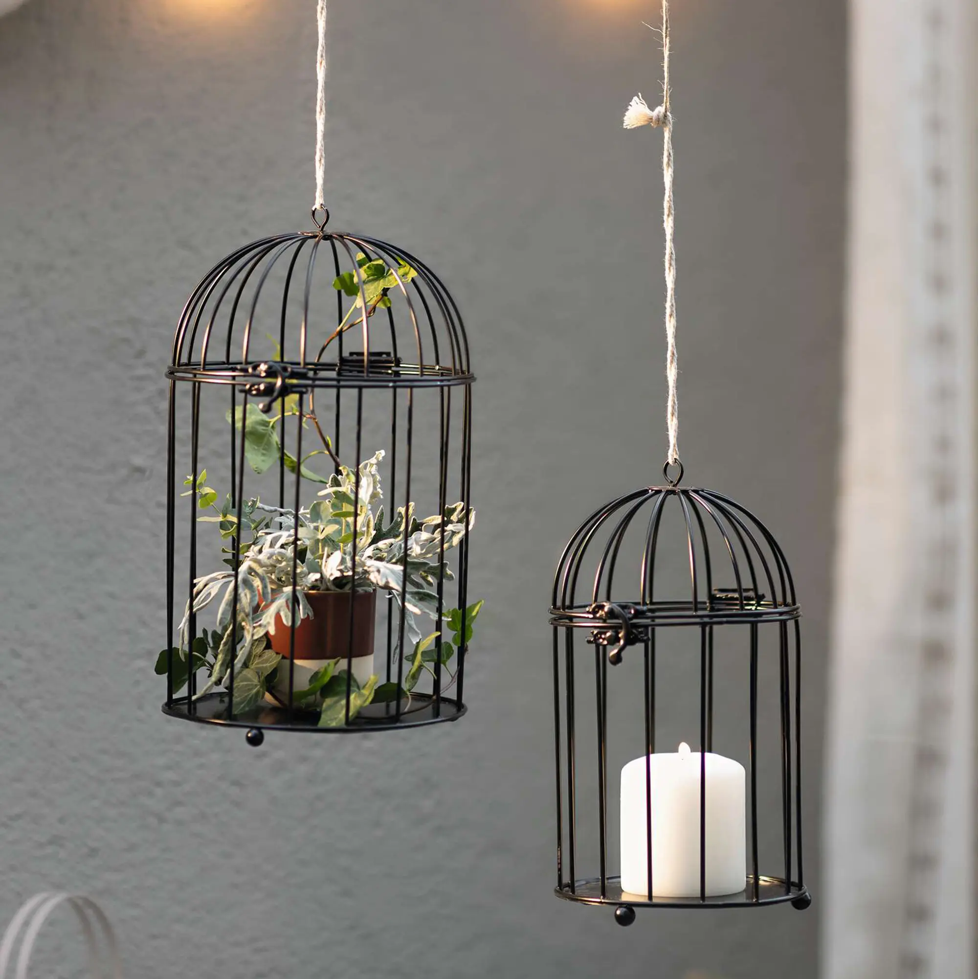 Dekokäfig "Gabbia", 2er Set  im Frank Flechtwaren Online Shop kaufen