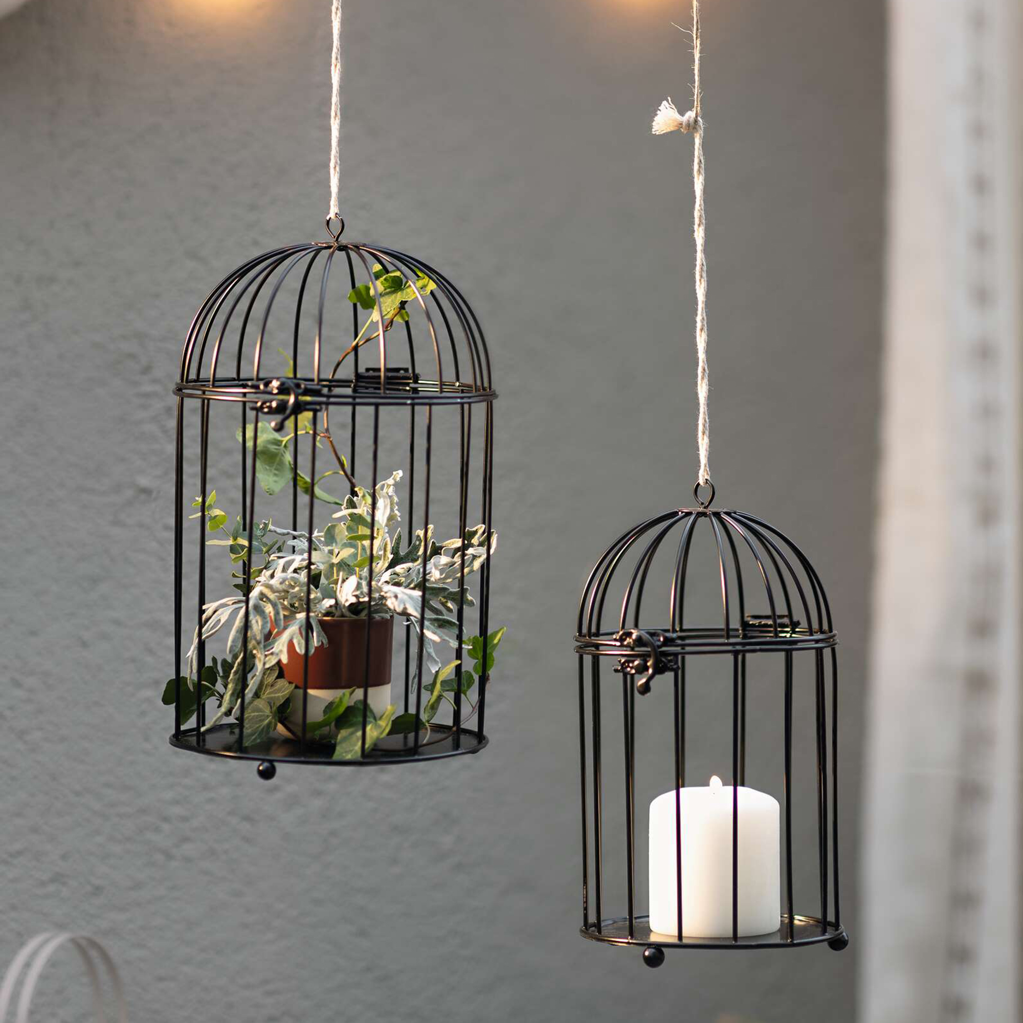 Dekokäfig "Gabbia", 2er Set  im Frank Flechtwaren Online Shop kaufen