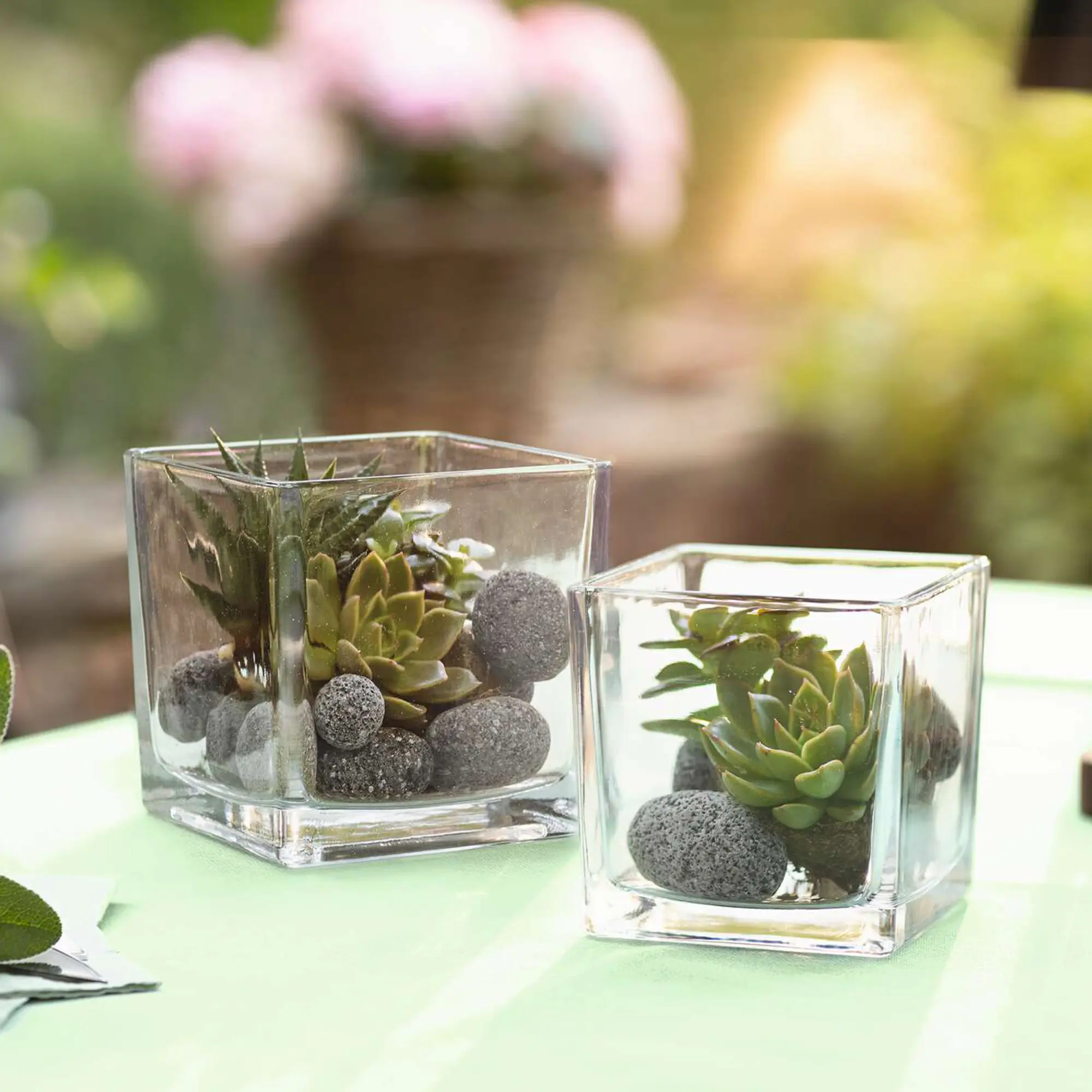 Dekoglas "Quadrat", 2er Set  im Frank Flechtwaren Online Shop kaufen