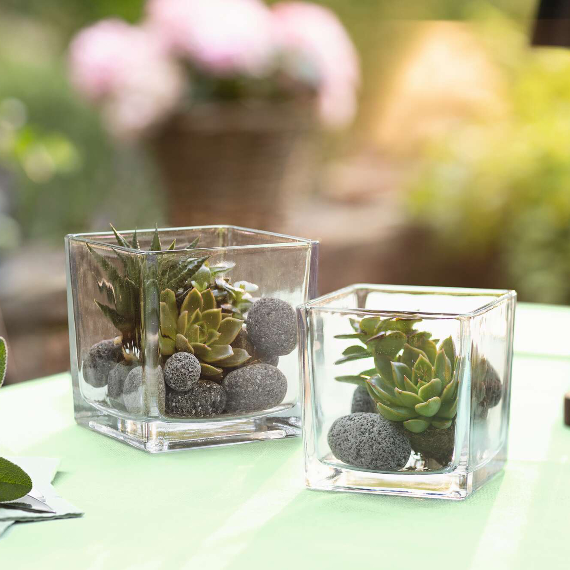 Dekoglas "Quadrat", 2er Set  im Frank Flechtwaren Online Shop kaufen