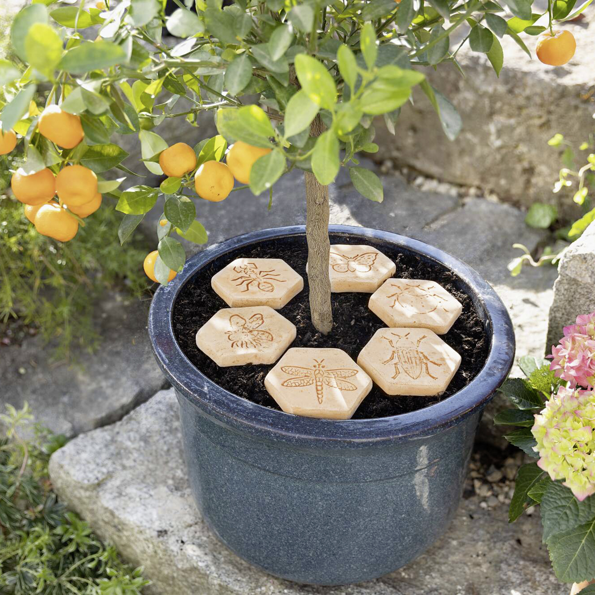 Pflanzenverdunstungsschutz "Gartenliebe", 6er Set  im Frank Flechtwaren Online Shop kaufen