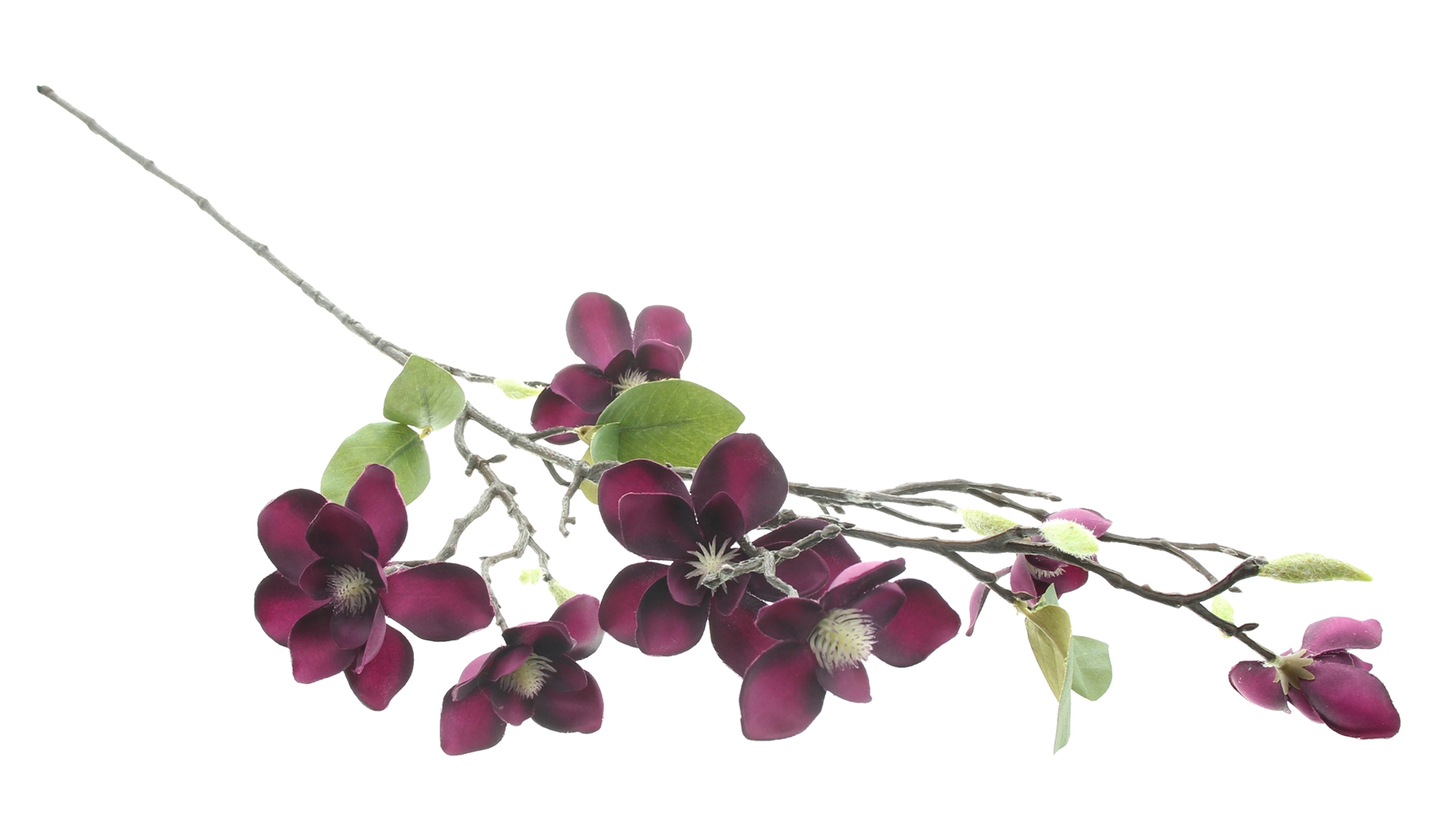 Kunstblume "Magnolienzweig"  im Frank Flechtwaren Online Shop für Kunstpflanzen kaufen