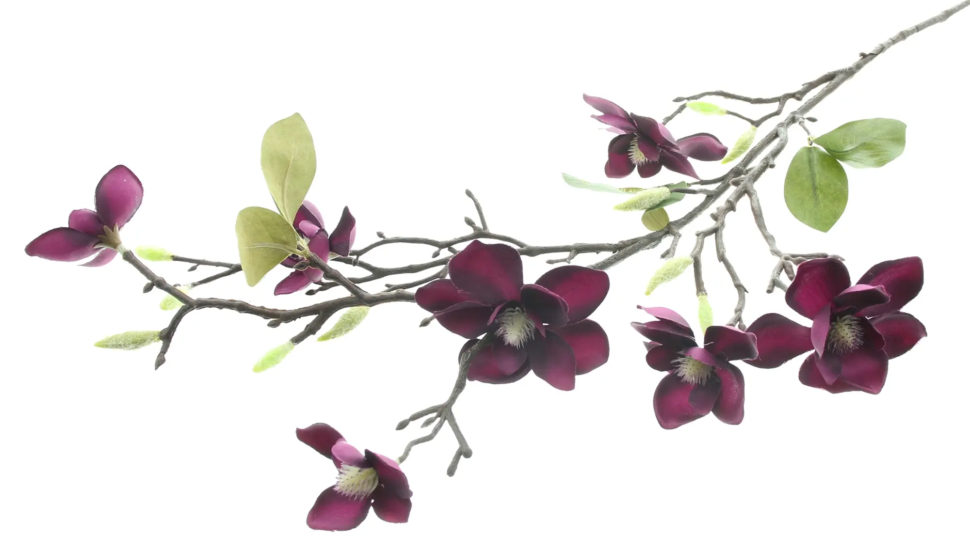 Kunstblume "Magnolienzweig"  im Frank Flechtwaren Online Shop für Kunstpflanzen kaufen