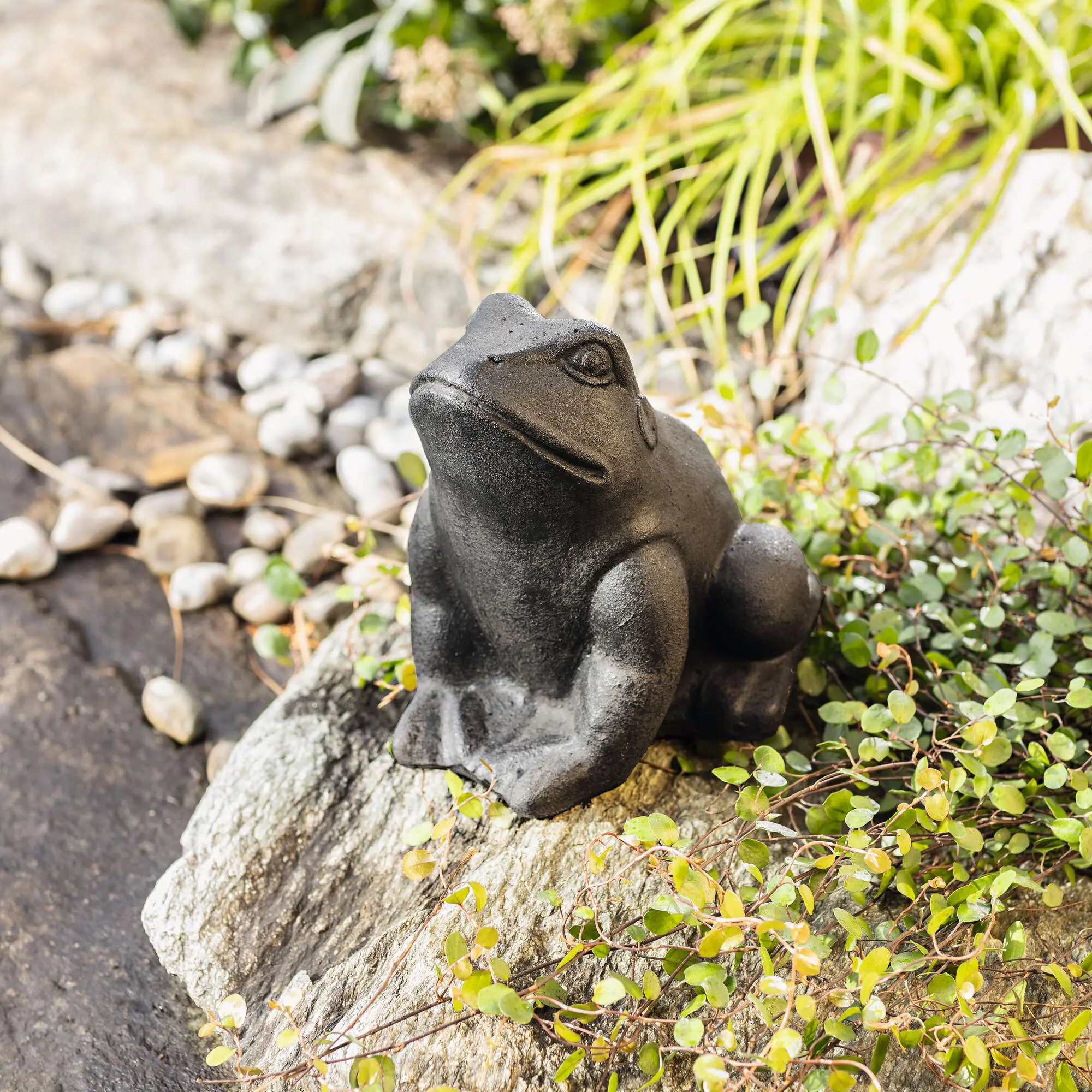 Figur "Frosch"  im Frank Flechtwaren Online Shop kaufen