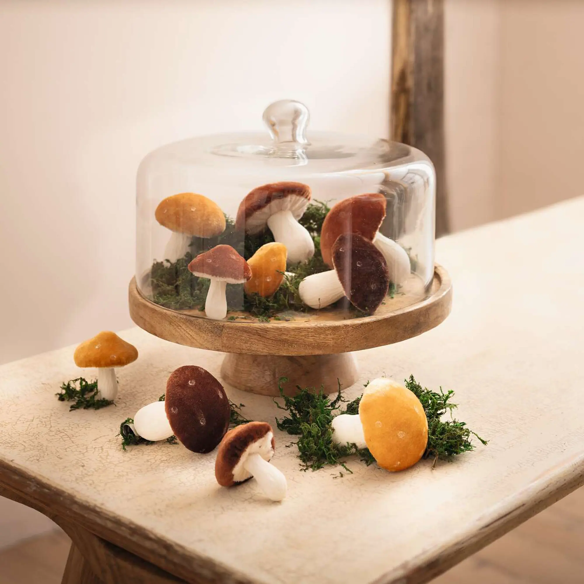 Servierplatte "Mangoholz" mit Glasglocke im Frank Flechtwaren Online Shop für Küche kaufen Servierplatte "Mangoholz" mit Glasglocke im Frank Flechtwaren Online Shop für Küche kaufen