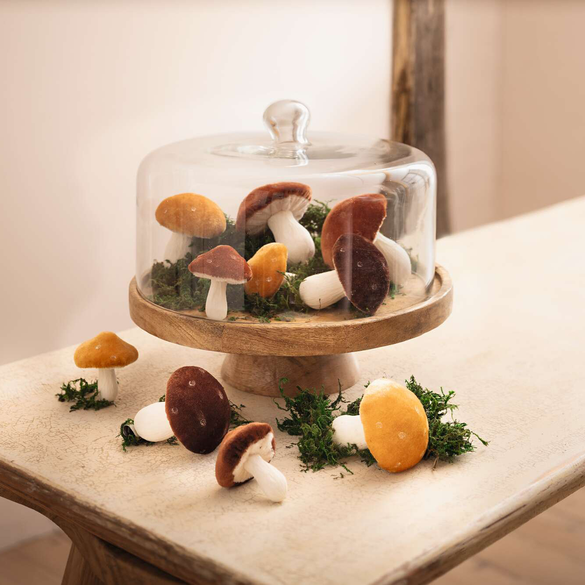 Servierplatte "Mangoholz" mit Glasglocke im Frank Flechtwaren Online Shop für Küche kaufen Servierplatte "Mangoholz" mit Glasglocke im Frank Flechtwaren Online Shop für Küche kaufen