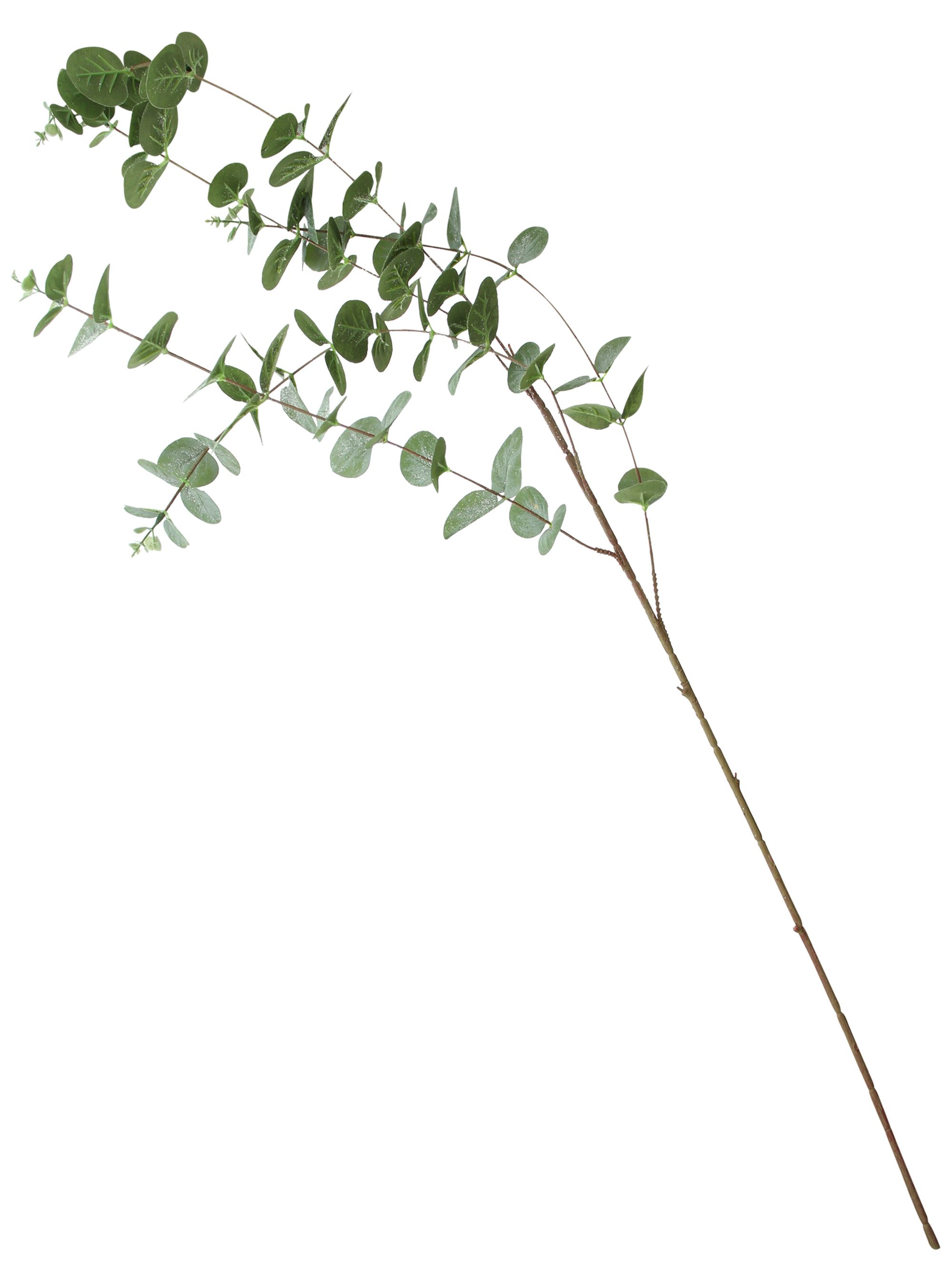 Zweig "Eukalyptus", 2er Set im Frank Flechtwaren Online Shop für Ostern kaufen Zweig "Eukalyptus", 2er Set im Frank Flechtwaren Online Shop für Ostern kaufen