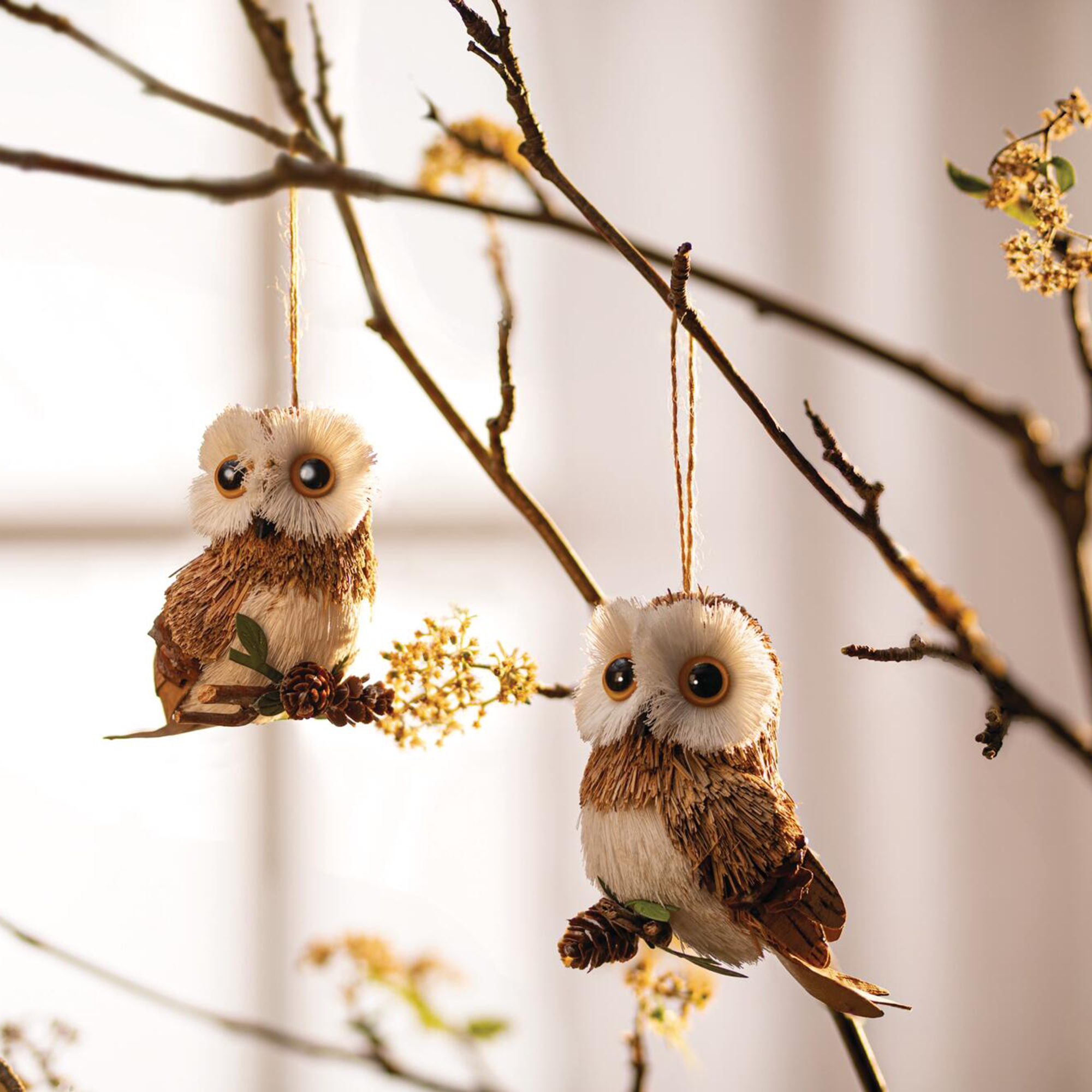 Deko-Hänger "Eule", 2er Set  im Frank Flechtwaren Online Shop kaufen