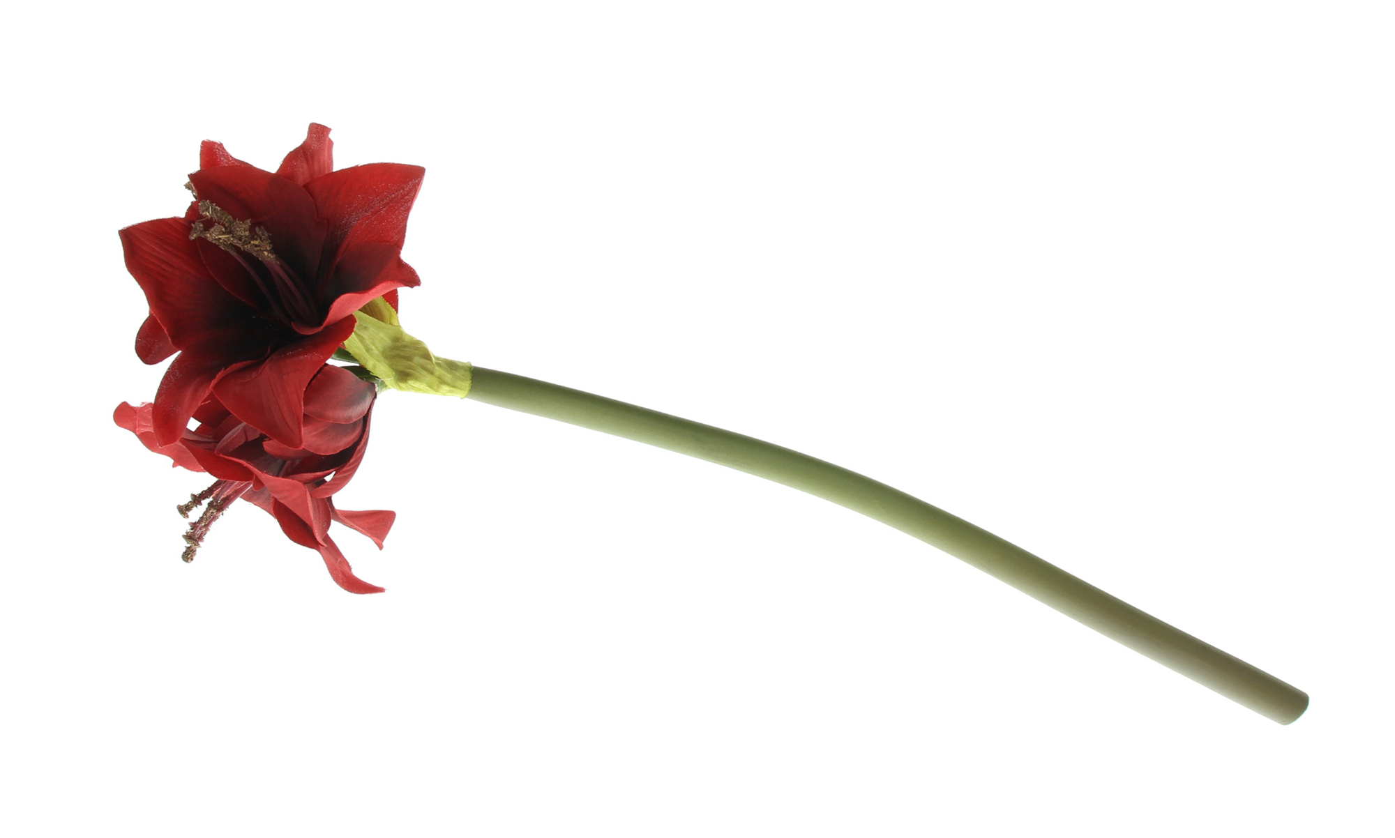 Kunstblume "Amaryllis", rot  im Frank Flechtwaren Online Shop für Kunstpflanzen kaufen