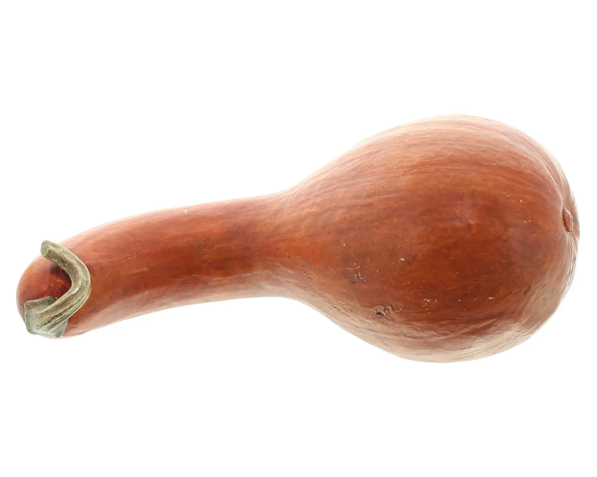 Deko-Kürbis "Orange"  im Frank Flechtwaren Online Shop für Dekokürbisse kaufen