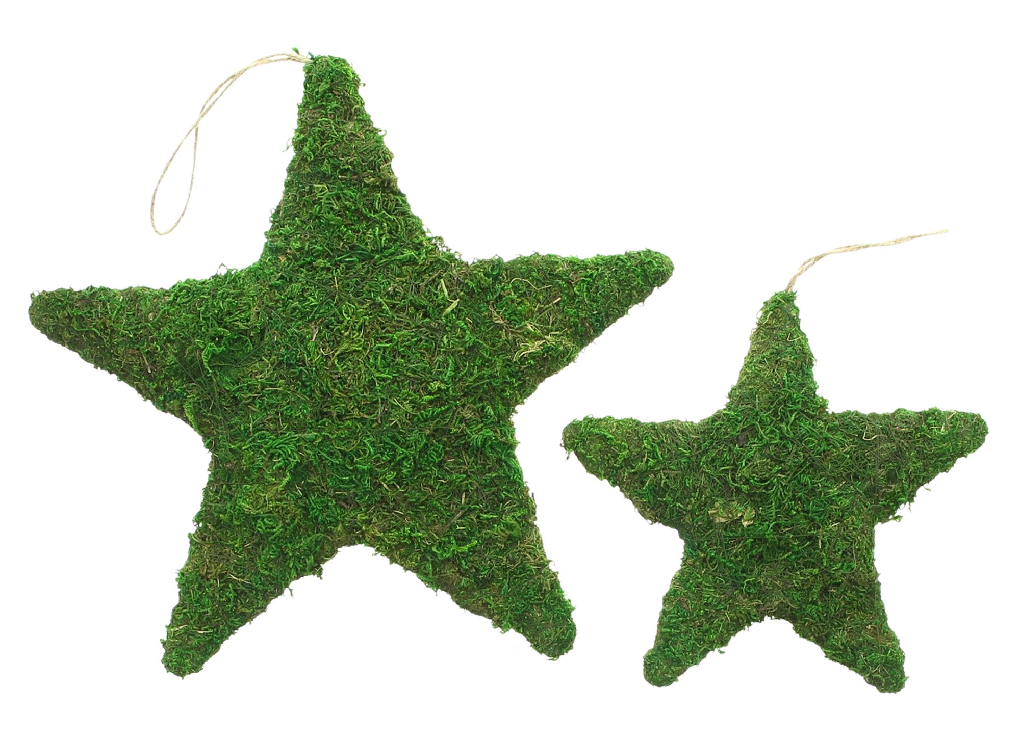 Stern "Moos", 2er Set  im Frank Flechtwaren Online Shop für Weihnachten kaufen