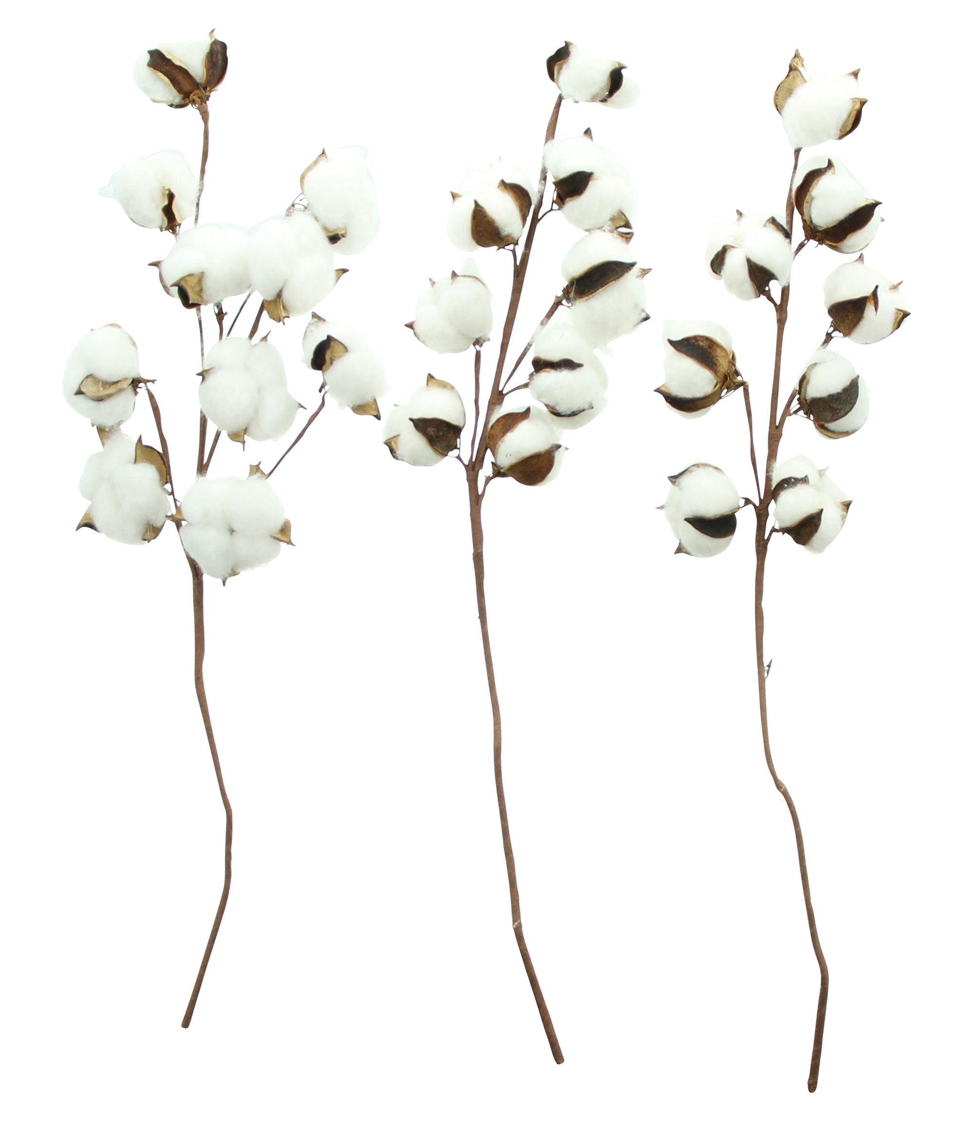 Acheter Lot de 3 branches "coton"  dans la boutique en ligne de Frank Flechtwaren pour Pâques