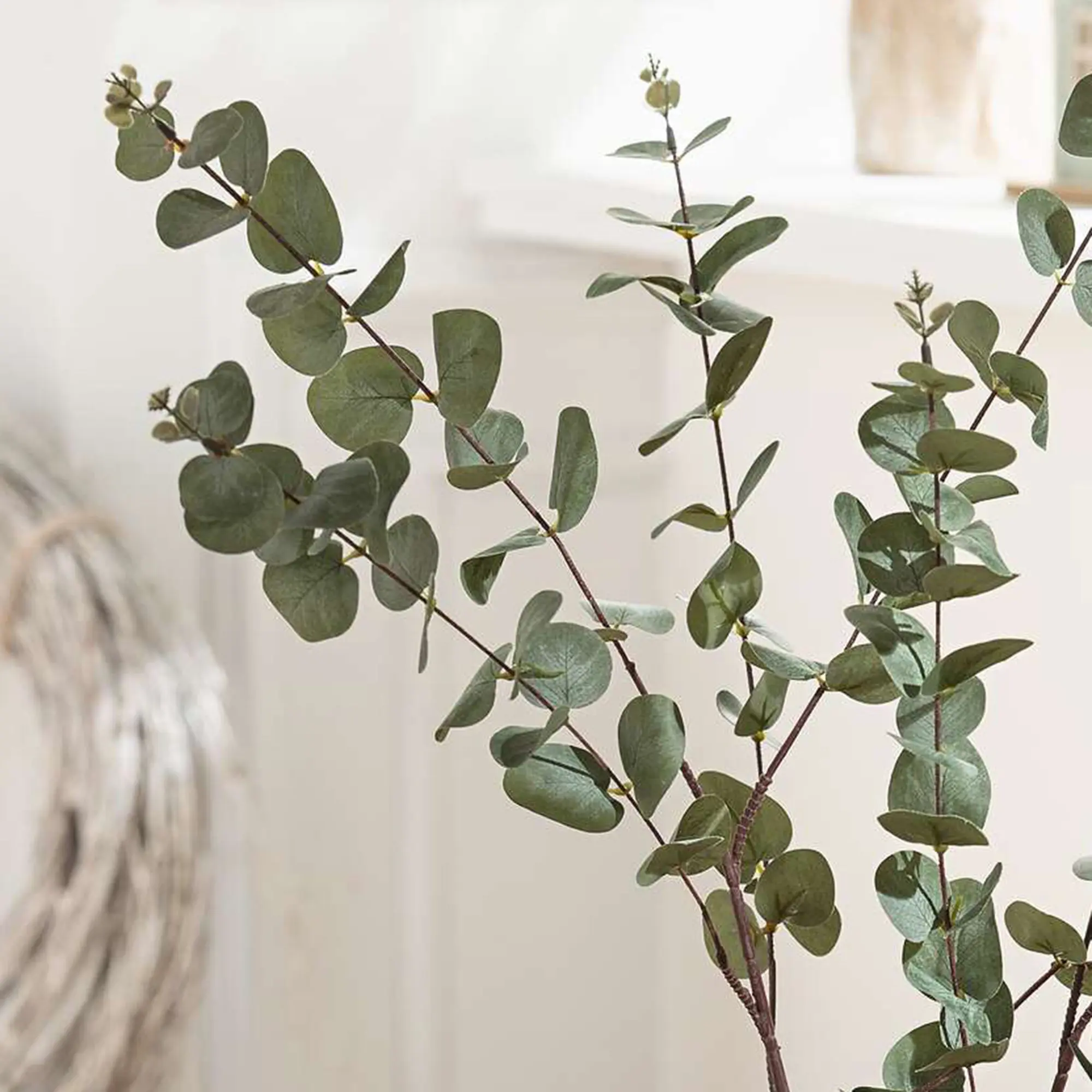 Zweig "Eukalyptus", 2er Set  im Frank Flechtwaren Online Shop kaufen