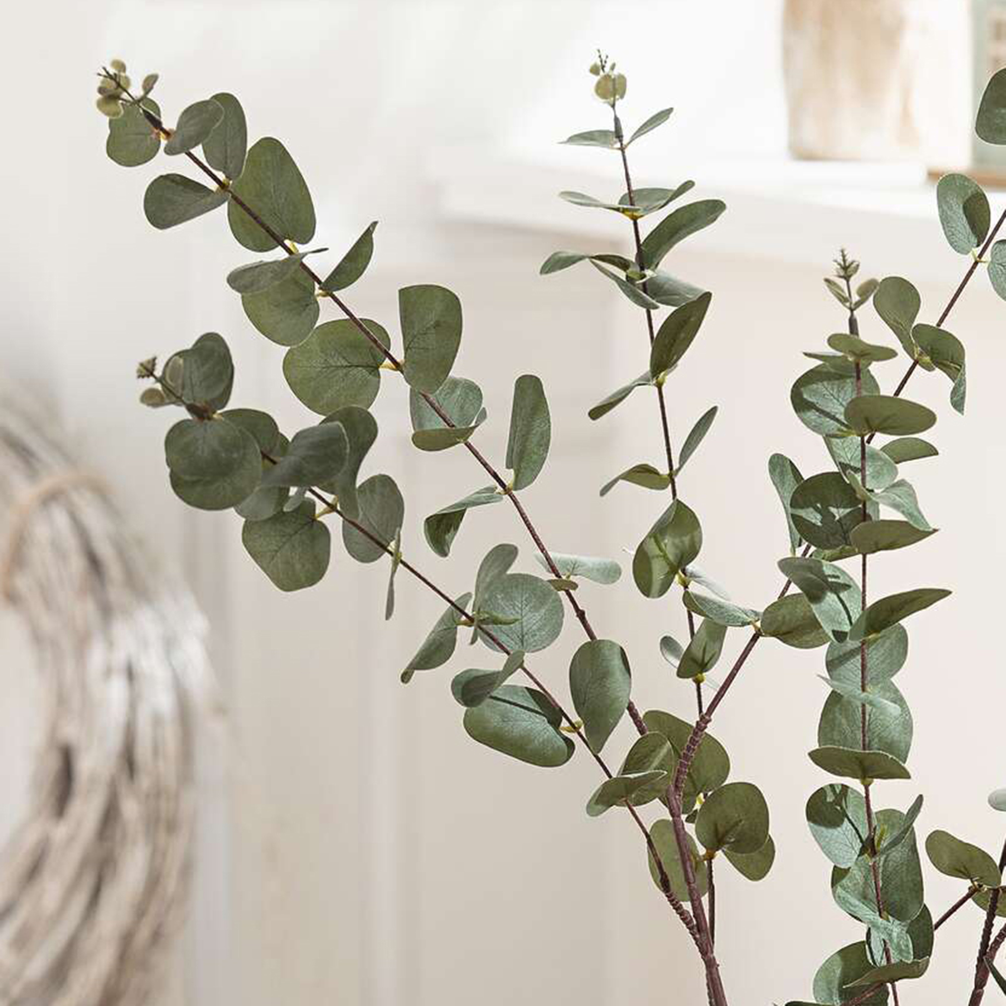 Zweig "Eukalyptus", 2er Set  im Frank Flechtwaren Online Shop für Kunstpflanzen kaufen