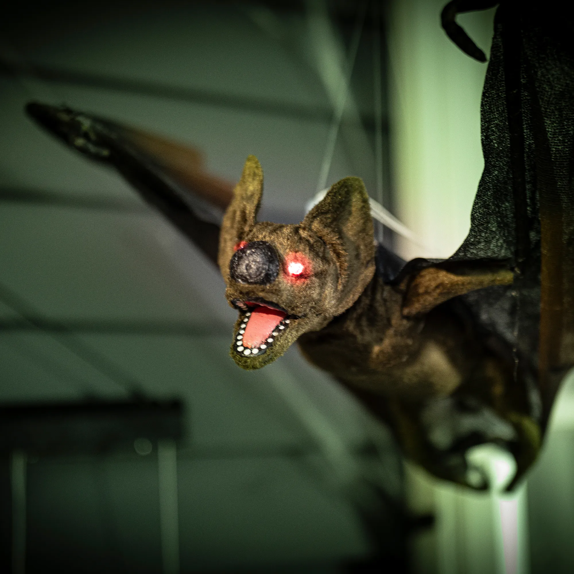 LED-Fledermaus "Vampir"  im Frank Flechtwaren Online Shop für Halloween kaufen