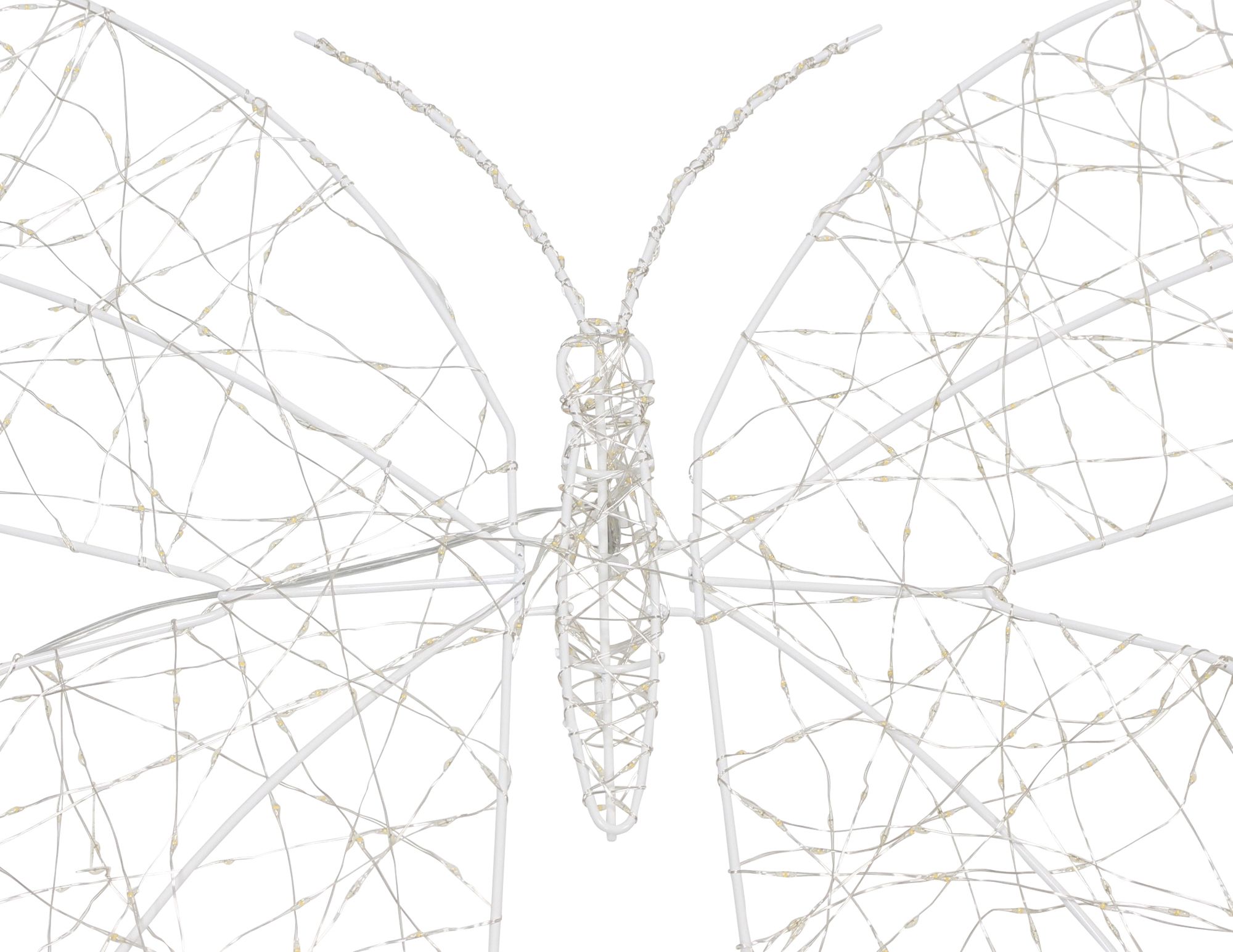 LED-Schmetterling "Shine"  im Frank Flechtwaren Online Shop für Gerade eingetroffen kaufen