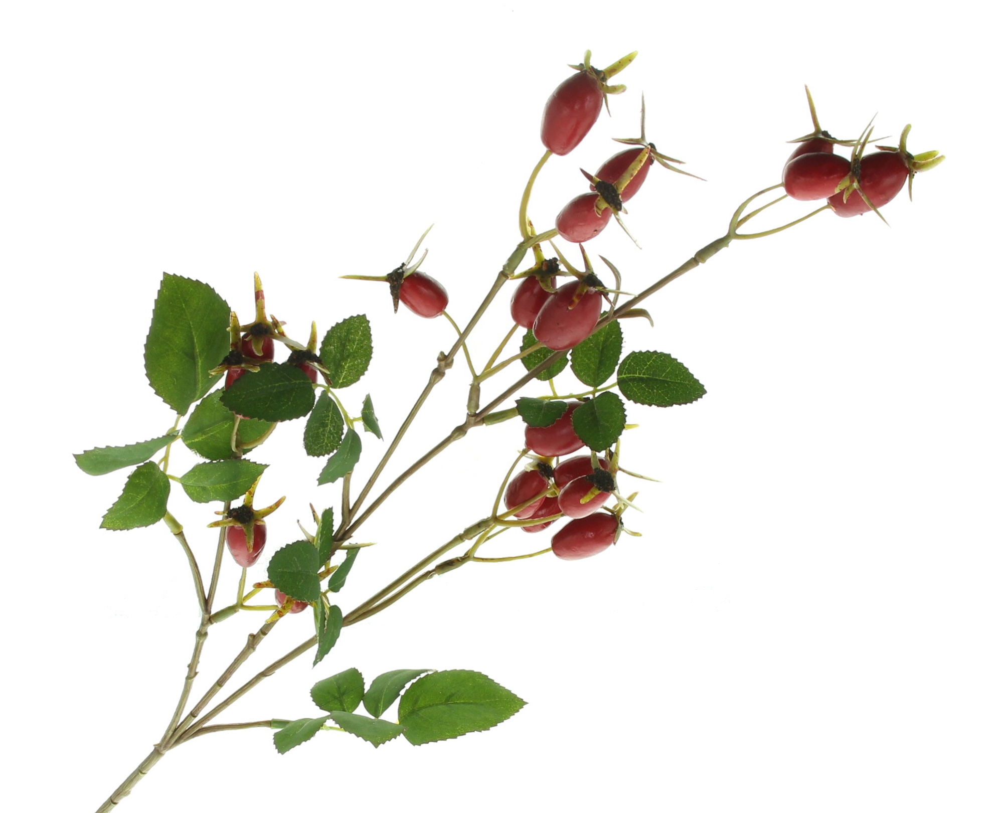 Kunstzweig "Hagebutten"  im Frank Flechtwaren Online Shop für Weihnachten kaufen