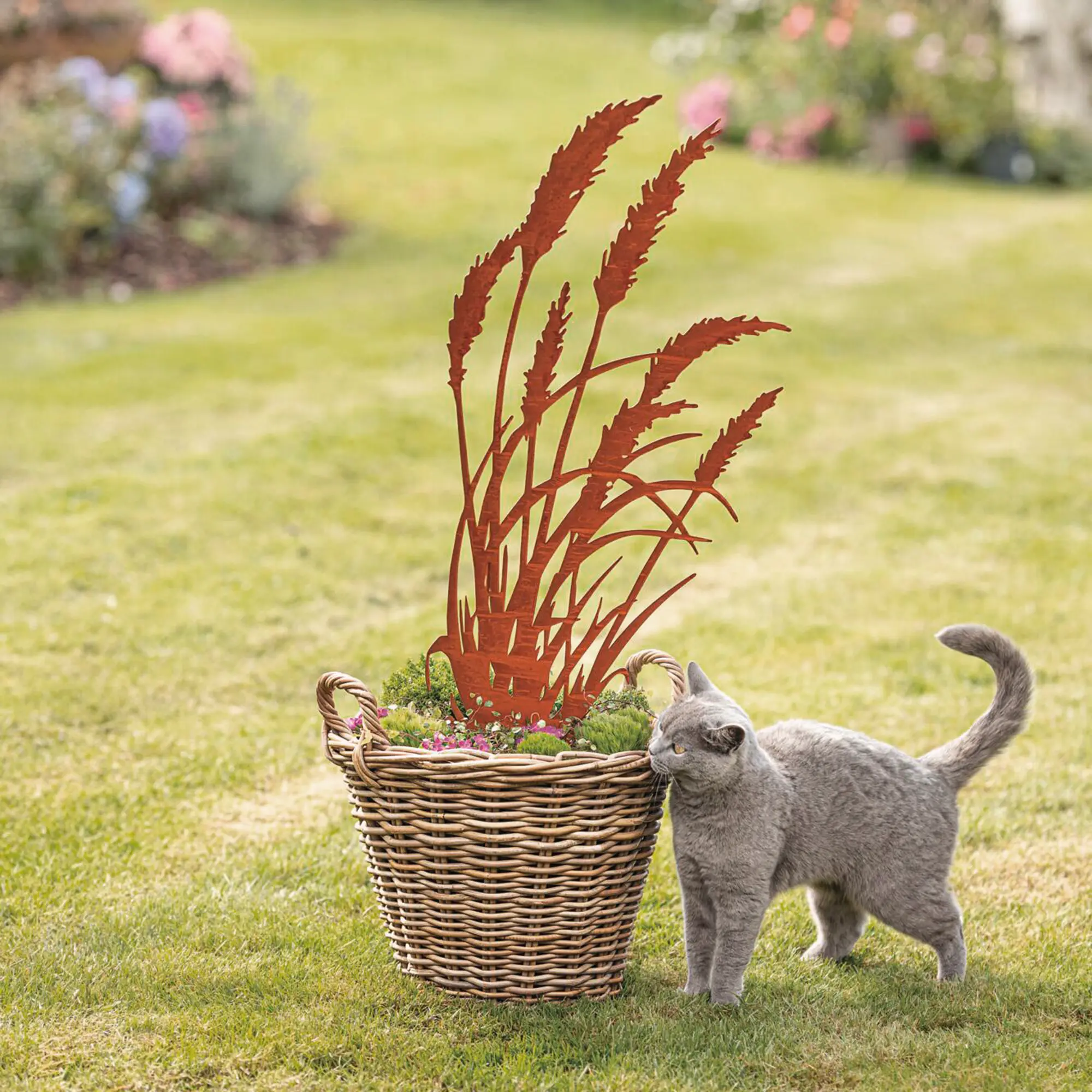 Gartenstecker "Schilf"  im Frank Flechtwaren Online Shop kaufen