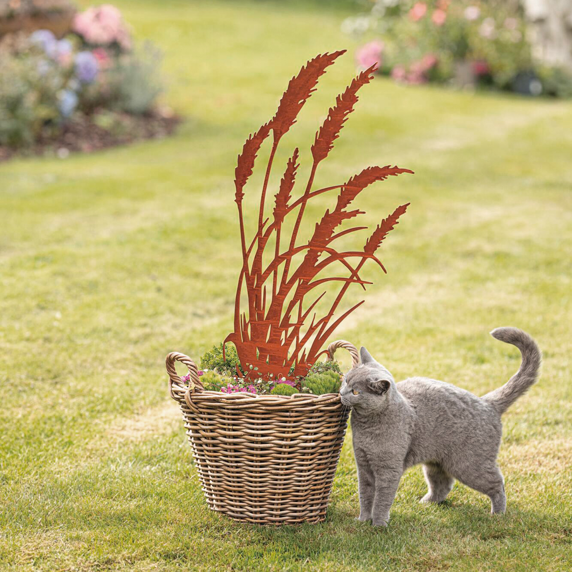 Gartenstecker "Schilf"  im Frank Flechtwaren Online Shop kaufen