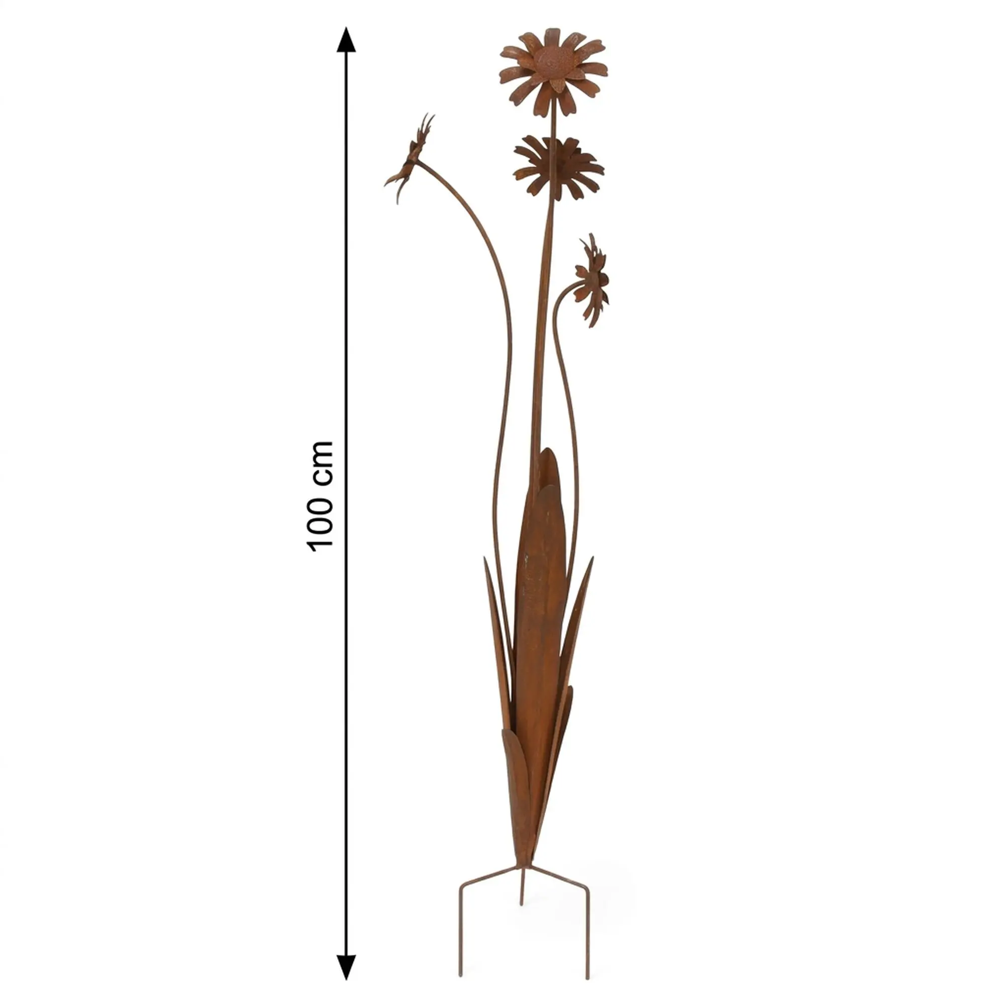 Gartenstecker "Rostblumen"  im Frank Flechtwaren Online Shop für Rostdeko für Ihren Garten kaufen