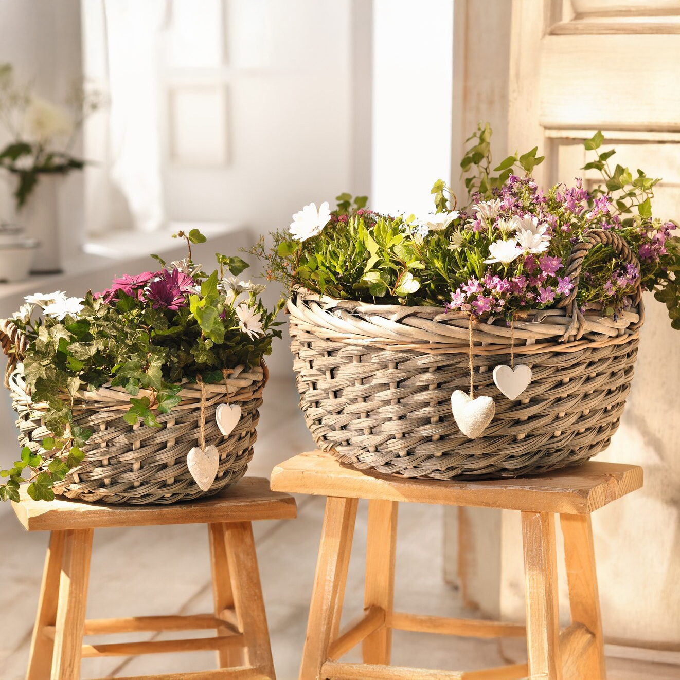 Pflanzkorb "Herzen", 2er Set  im Frank Flechtwaren Online Shop kaufen