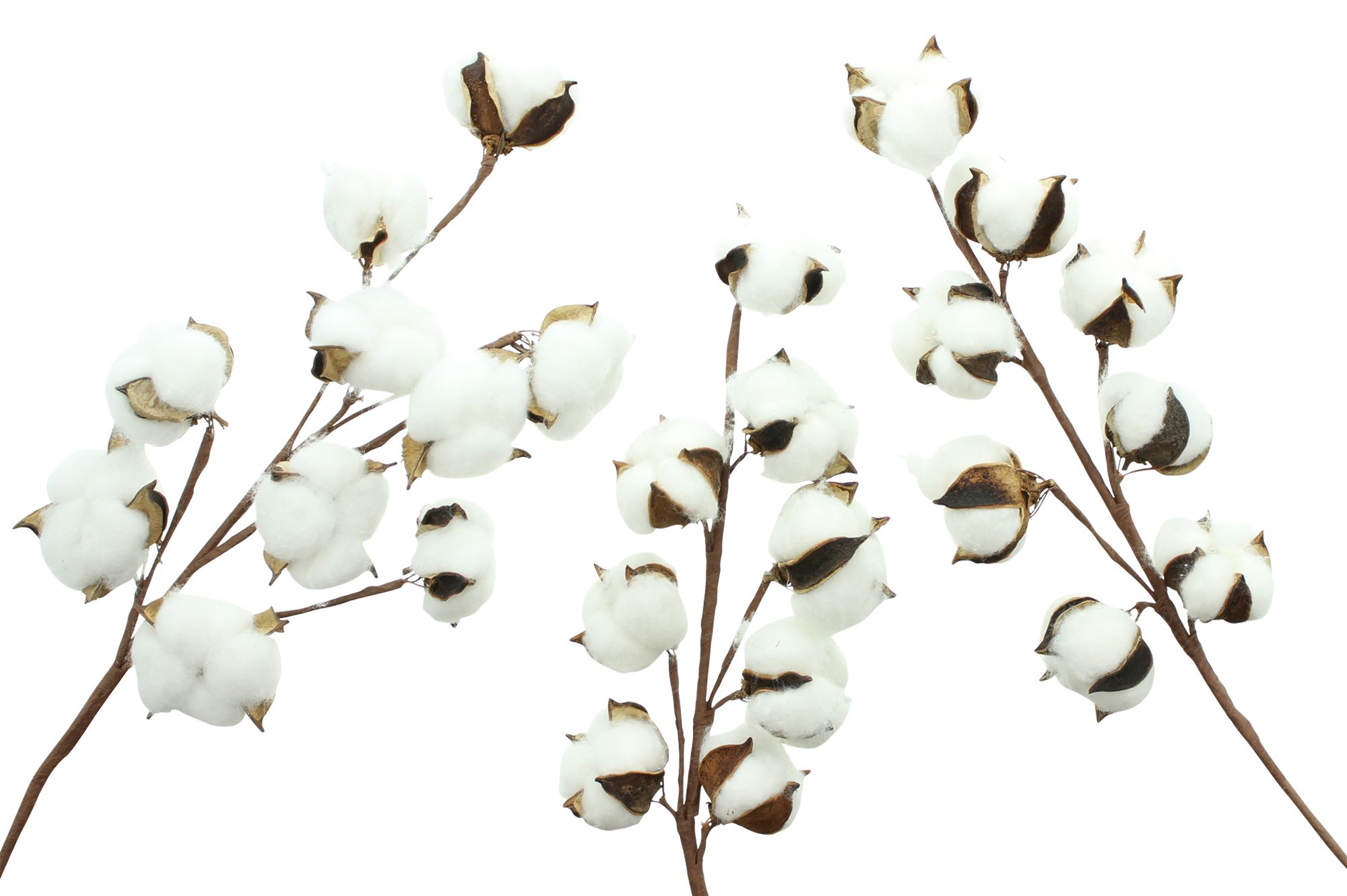 Acheter Lot de 3 branches "coton"  dans la boutique en ligne de Frank Flechtwaren pour Pâques