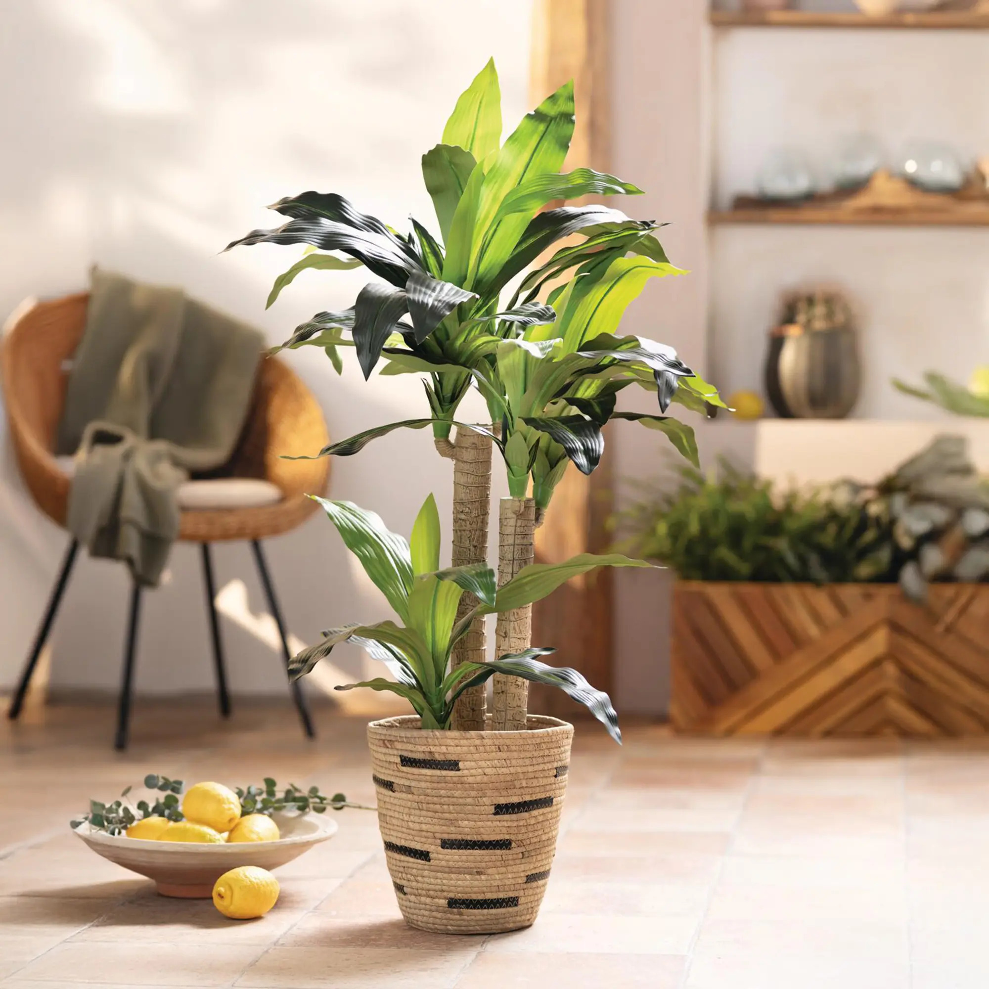 Kunstpflanze "Yucca-Palme"  im Frank Flechtwaren Online Shop kaufen