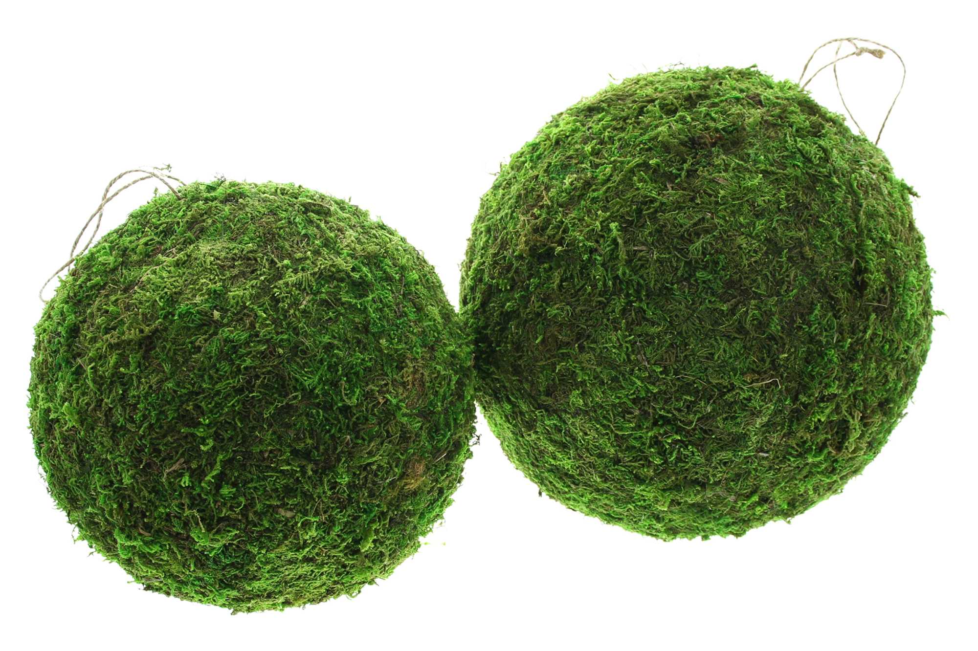 Hänger "Mooskugel", 2er Set  im Frank Flechtwaren Online Shop für Ostern kaufen