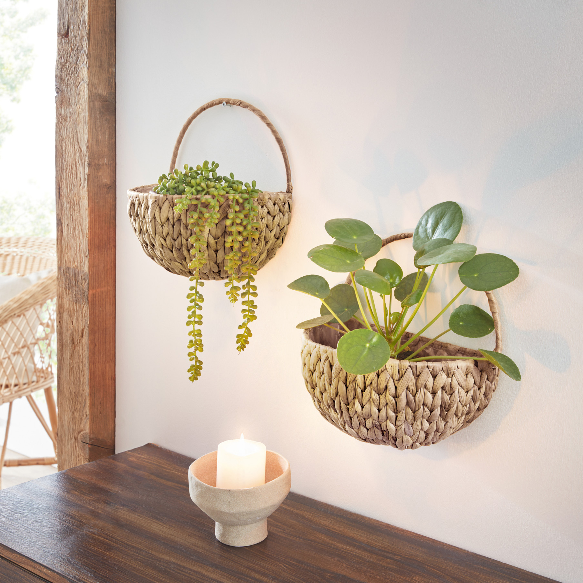 Wandpflanzer "Wasserhyazinthe"  im Frank Flechtwaren Online Shop kaufen