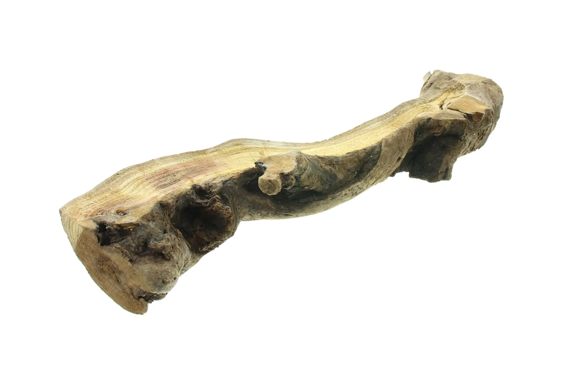 Dekowurzel "Rustic Art"  im Frank Flechtwaren Online Shop für Dekobündel kaufen