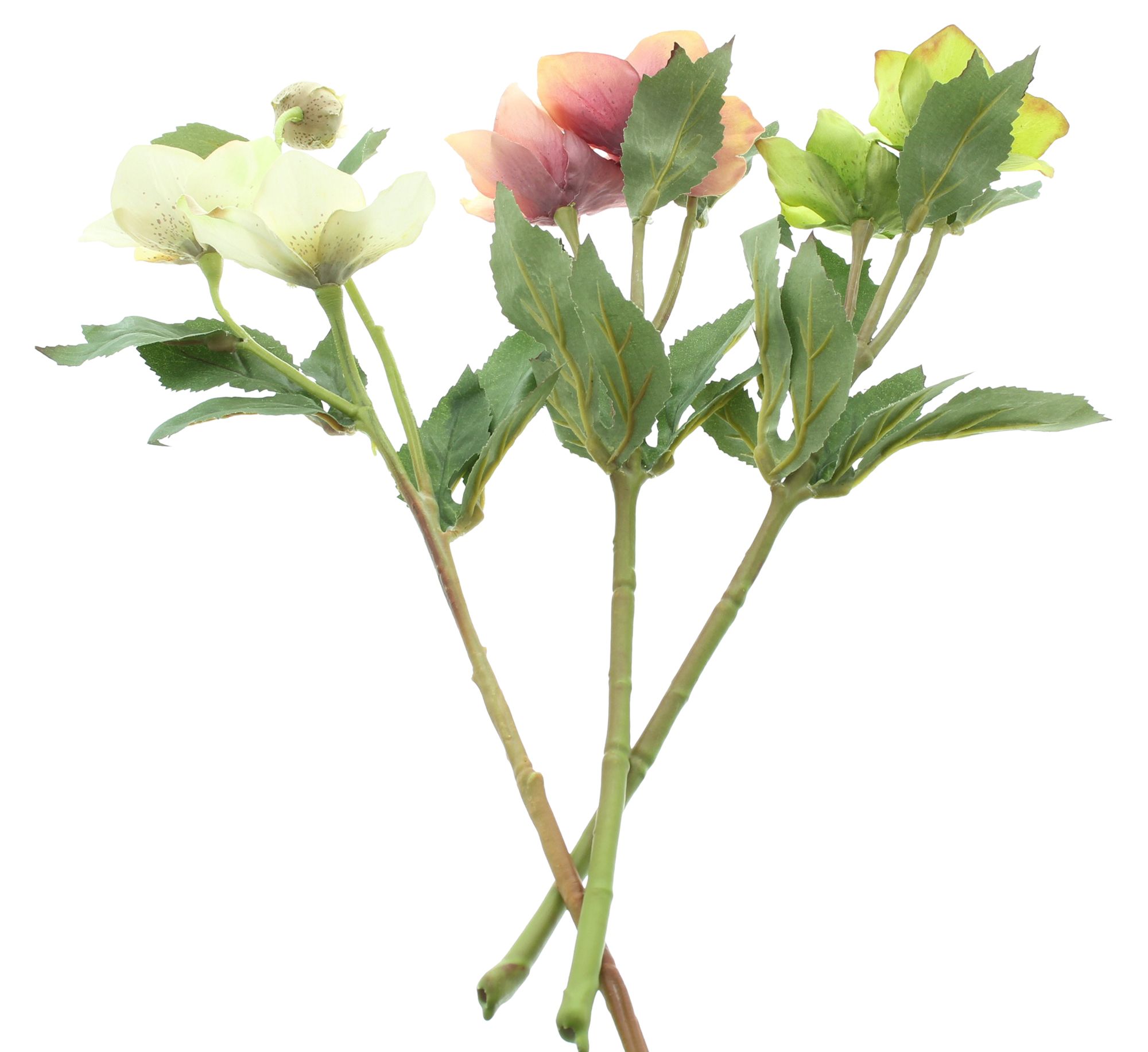 Kunstblume "Christrose", 3er Set im Frank Flechtwaren Online Shop für Weihnachten kaufen Kunstblume "Christrose", 3er Set im Frank Flechtwaren Online Shop für Weihnachten kaufen