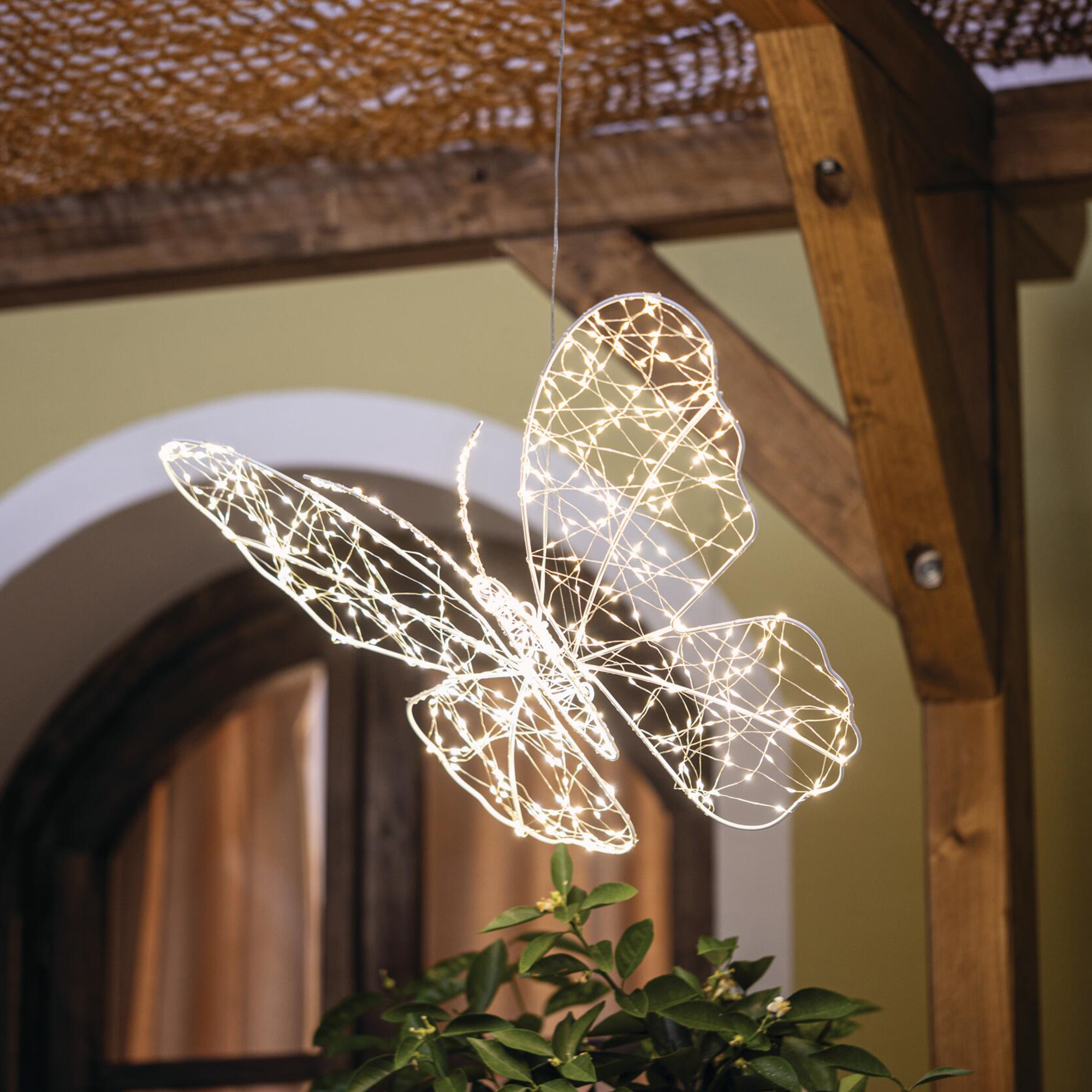 LED-Schmetterling "Shine"  im Frank Flechtwaren Online Shop kaufen