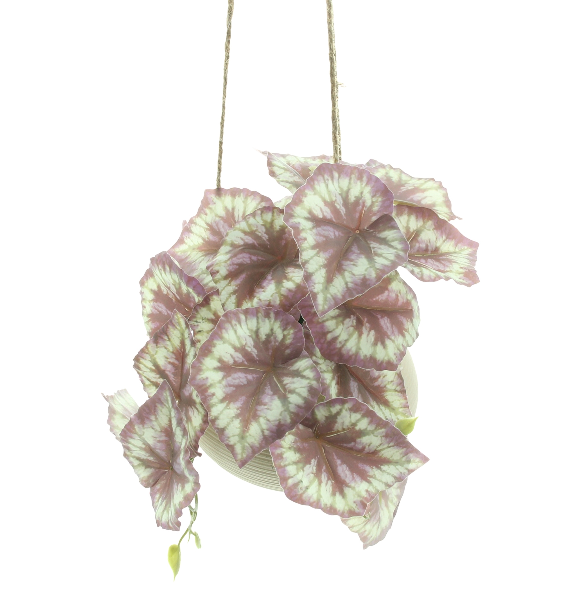 Kunstpflanze "Königsbegonie" im Hängetopf  im Frank Flechtwaren Online Shop für Gerade eingetroffen kaufen