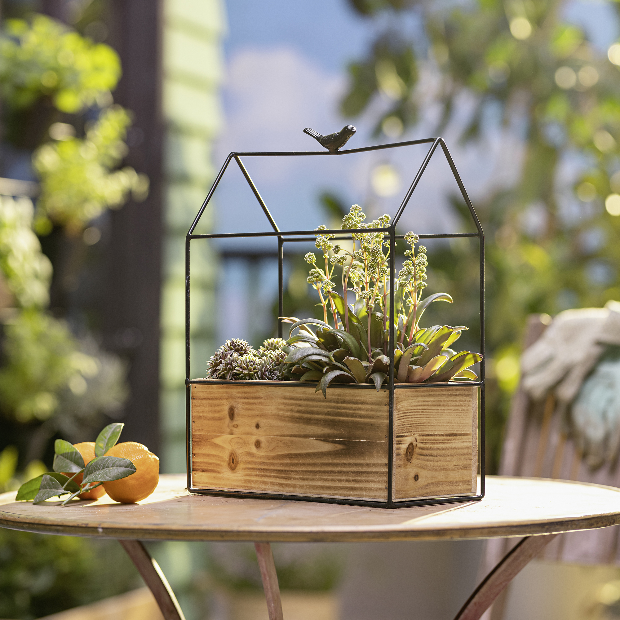 Pflanzer "Vogelhaus"  im Frank Flechtwaren Online Shop kaufen