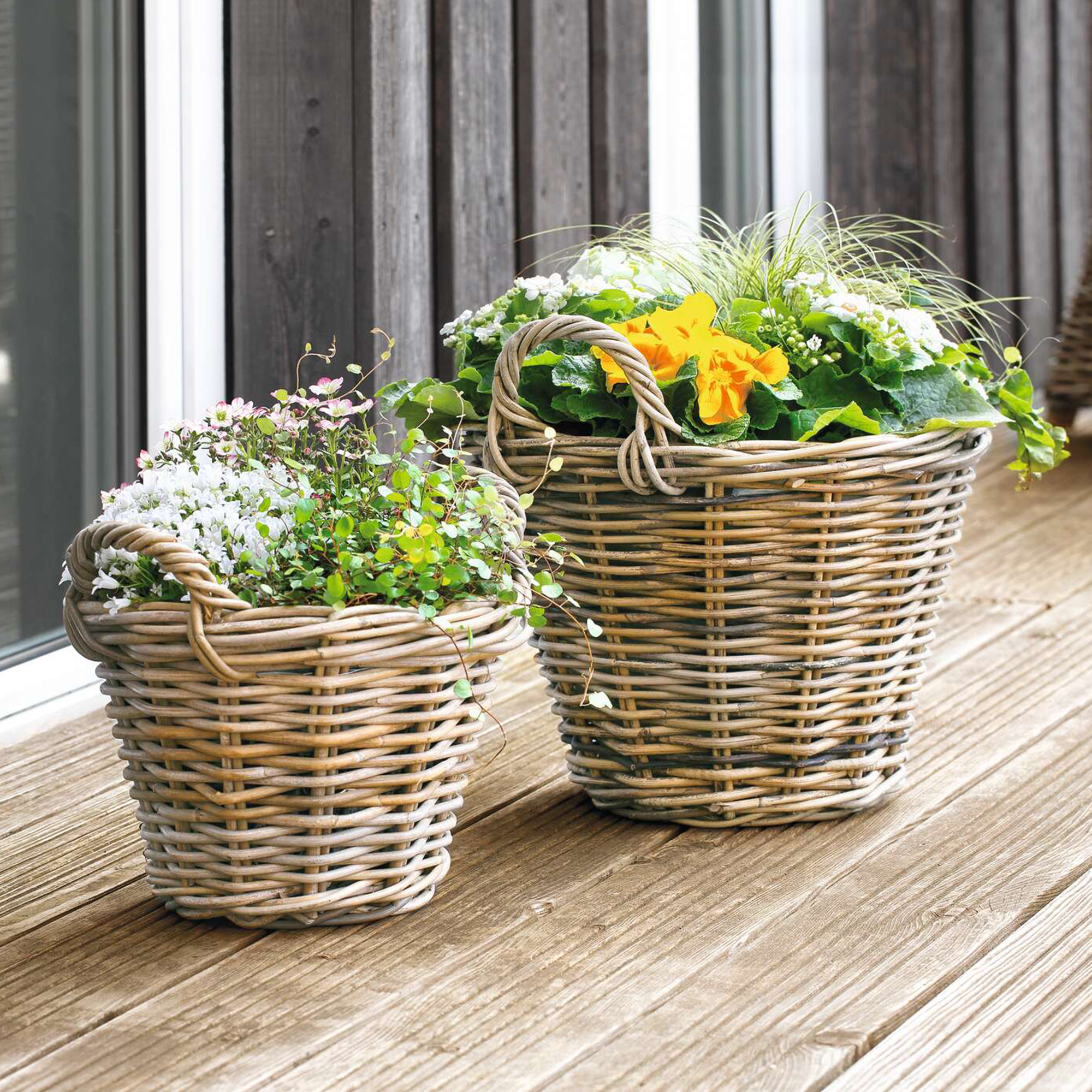 Pflanzkorb "Rattan", klein  im Frank Flechtwaren Online Shop kaufen