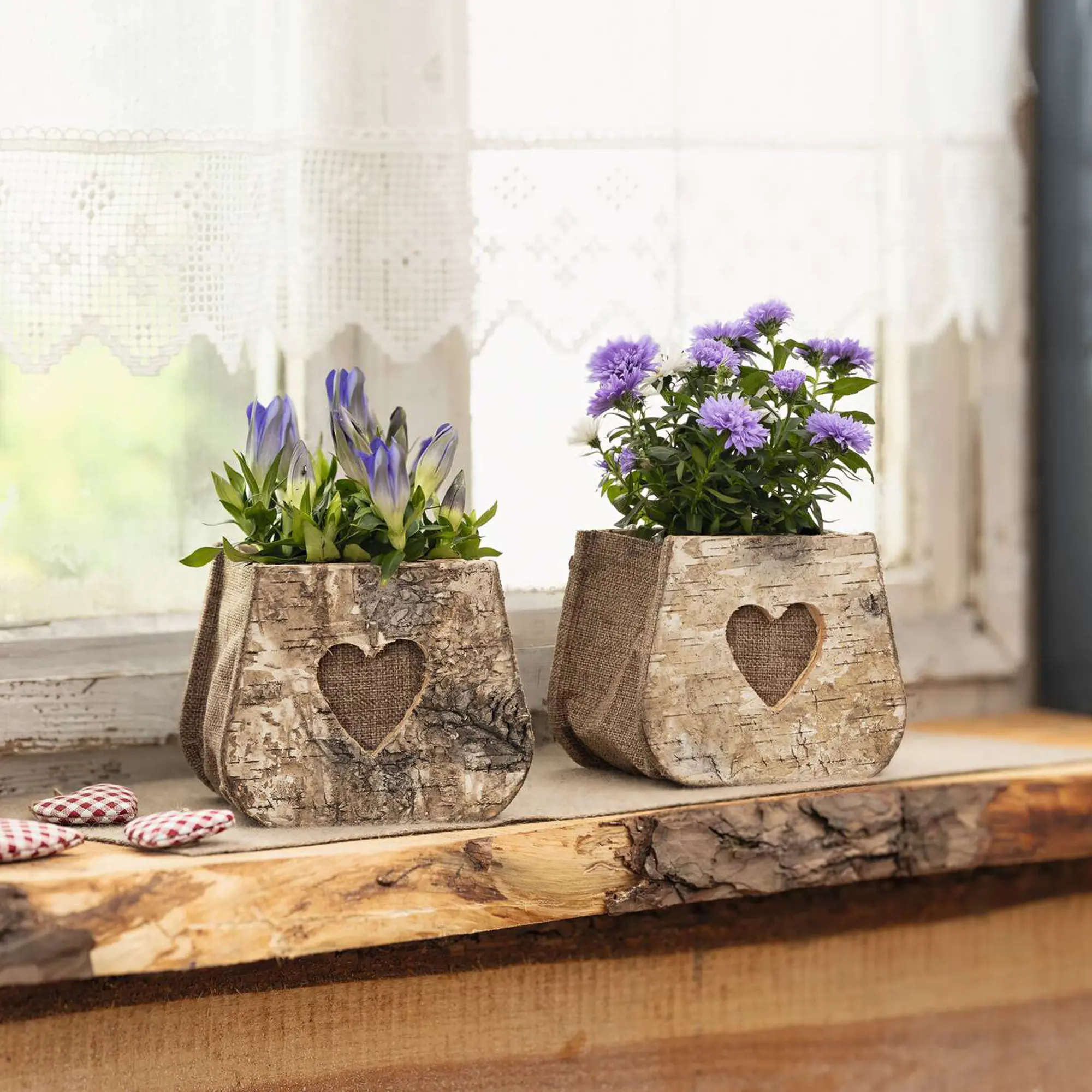 Pflanztasche "Birkenherz", 2er Set  im Frank Flechtwaren Online Shop kaufen