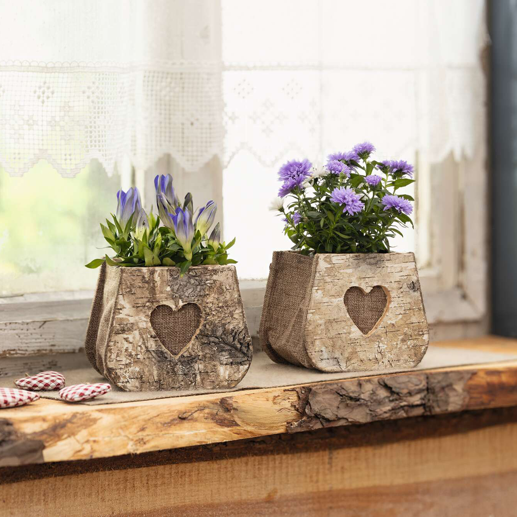 Pflanztasche "Birkenherz", 2er Set  im Frank Flechtwaren Online Shop kaufen