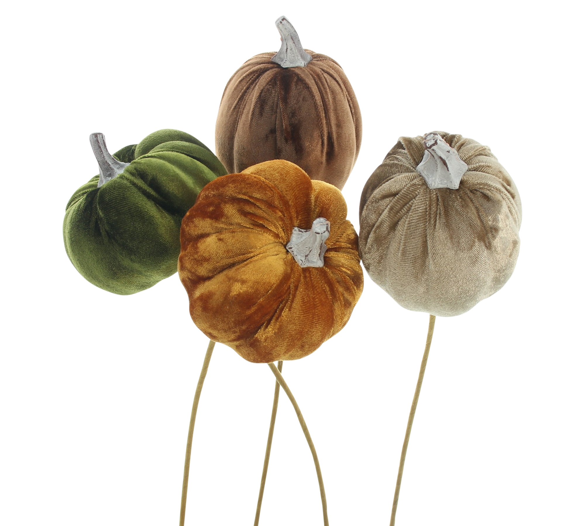 Stecker "Samtkürbis", 4er Set  im Frank Flechtwaren Online Shop für Titelserie Herbst/Winter kaufen