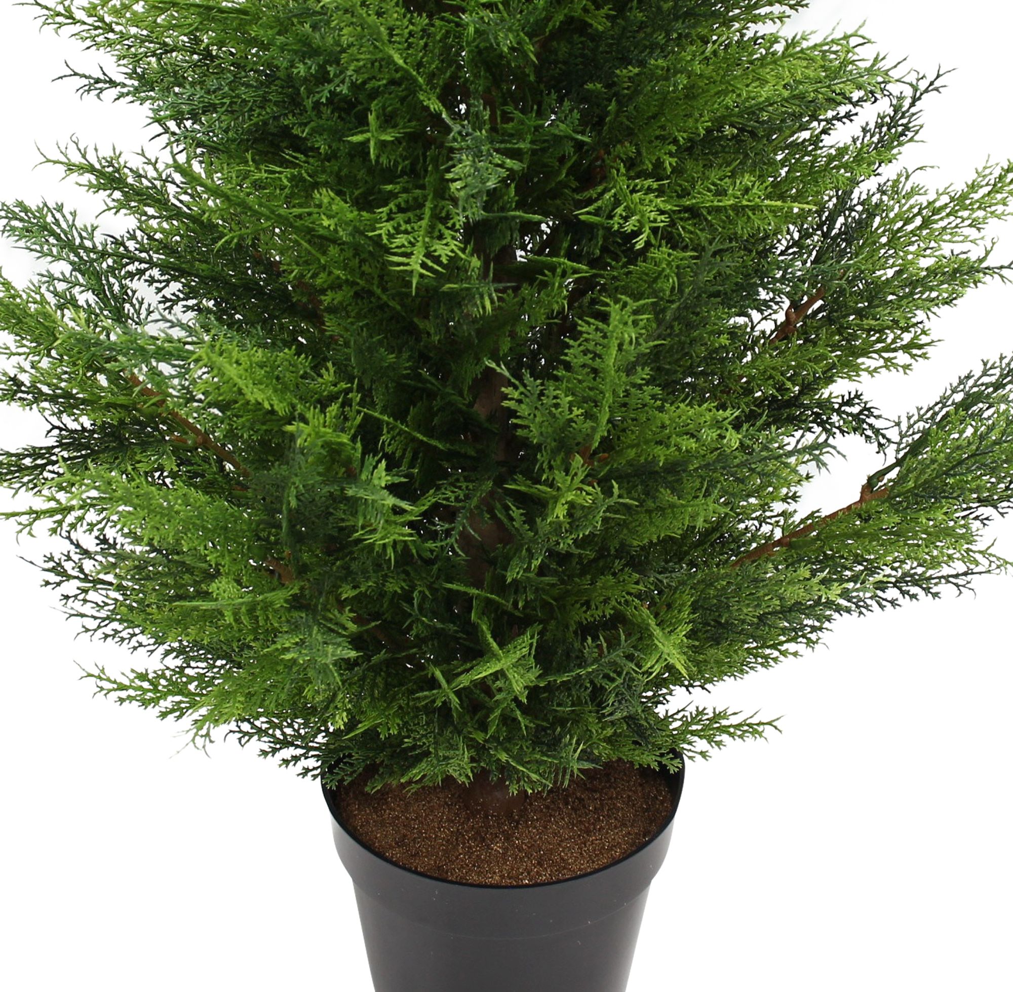 Kunstpflanze "Konifere"  im Frank Flechtwaren Online Shop für Kunstpflanzen kaufen