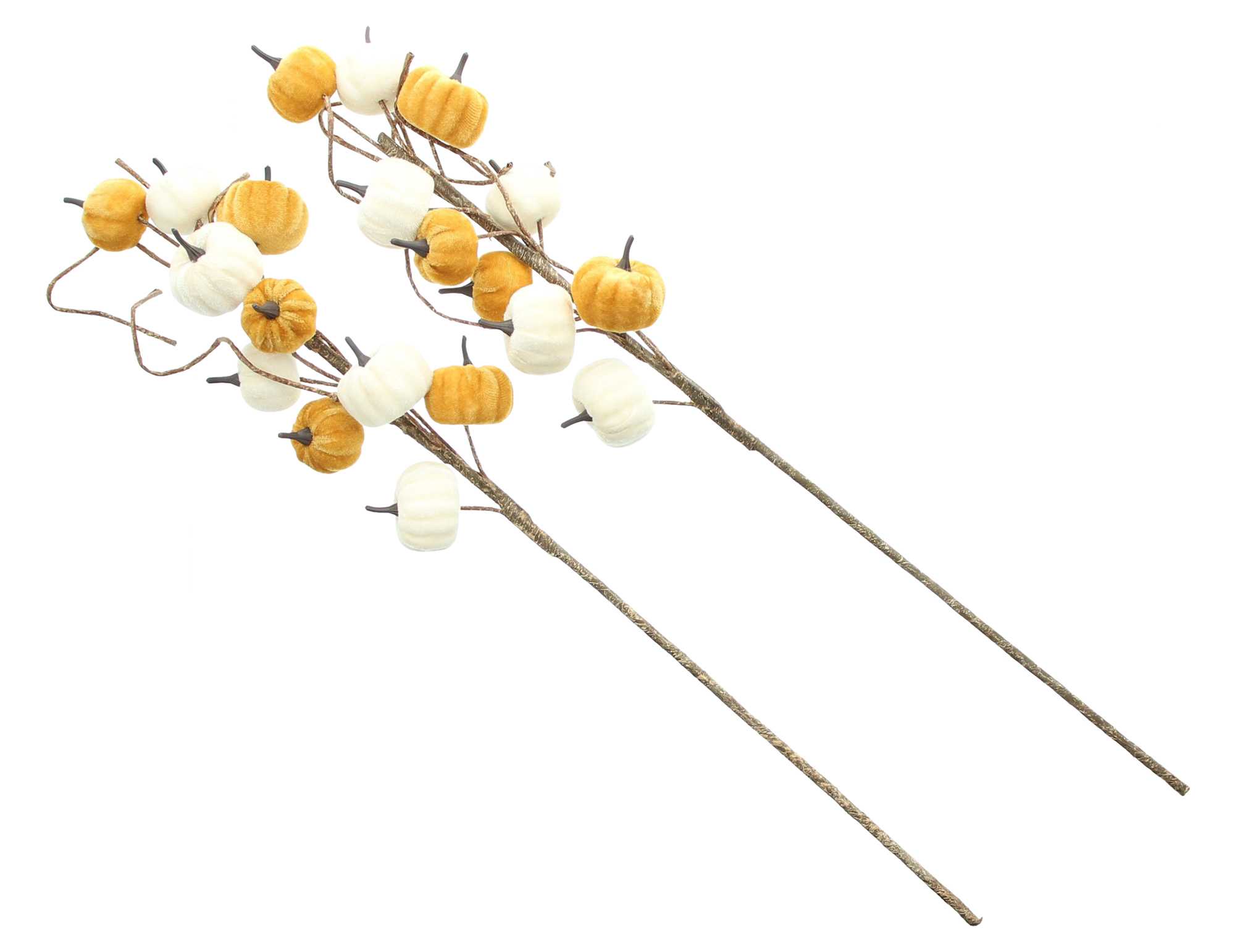 Zweig "Kürbisse", 2er Set im Frank Flechtwaren Online Shop für Herbst kaufen Zweig "Kürbisse", 2er Set im Frank Flechtwaren Online Shop für Herbst kaufen
