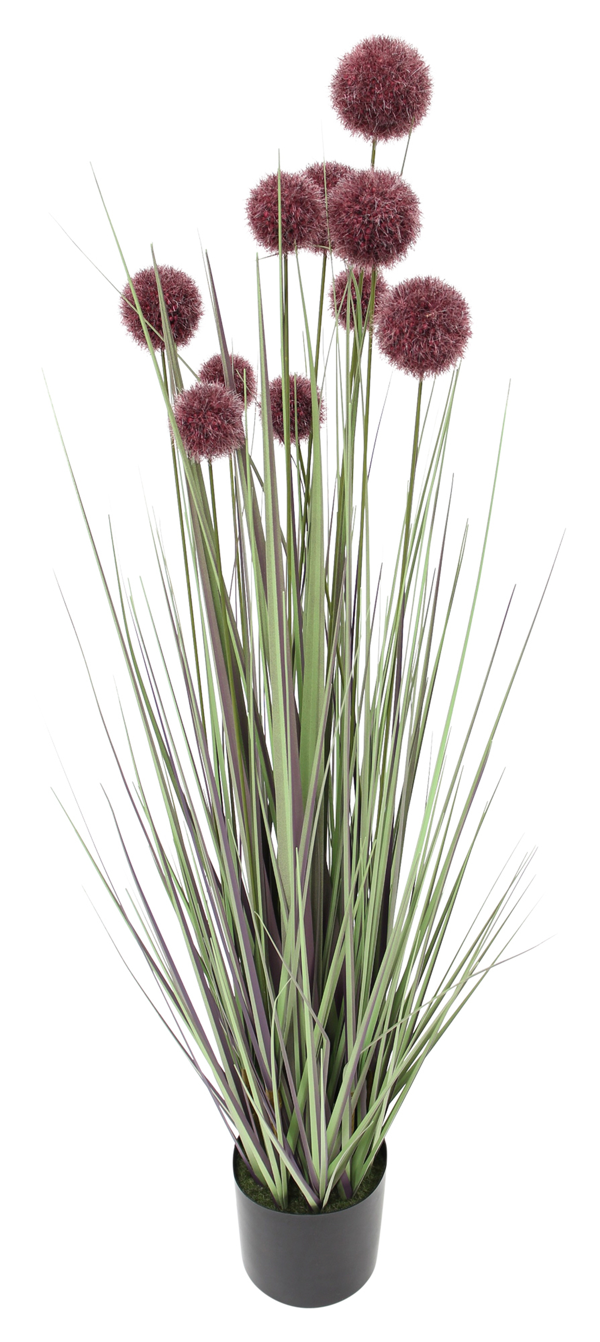 Topfpflanze "Allium"  im Frank Flechtwaren Online Shop für Kunstpflanzen kaufen
