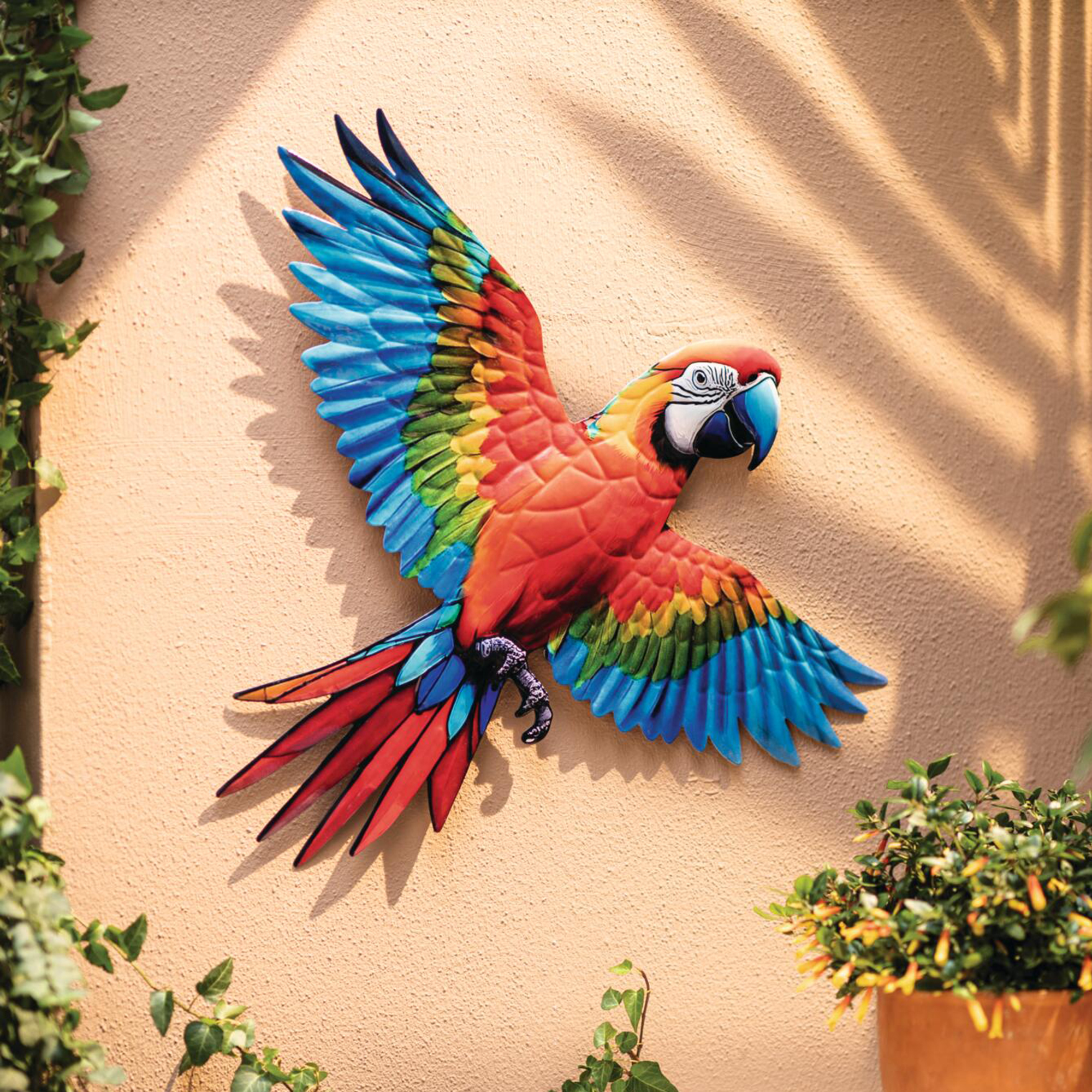 Wanddeko "Papagei"  im Frank Flechtwaren Online Shop kaufen