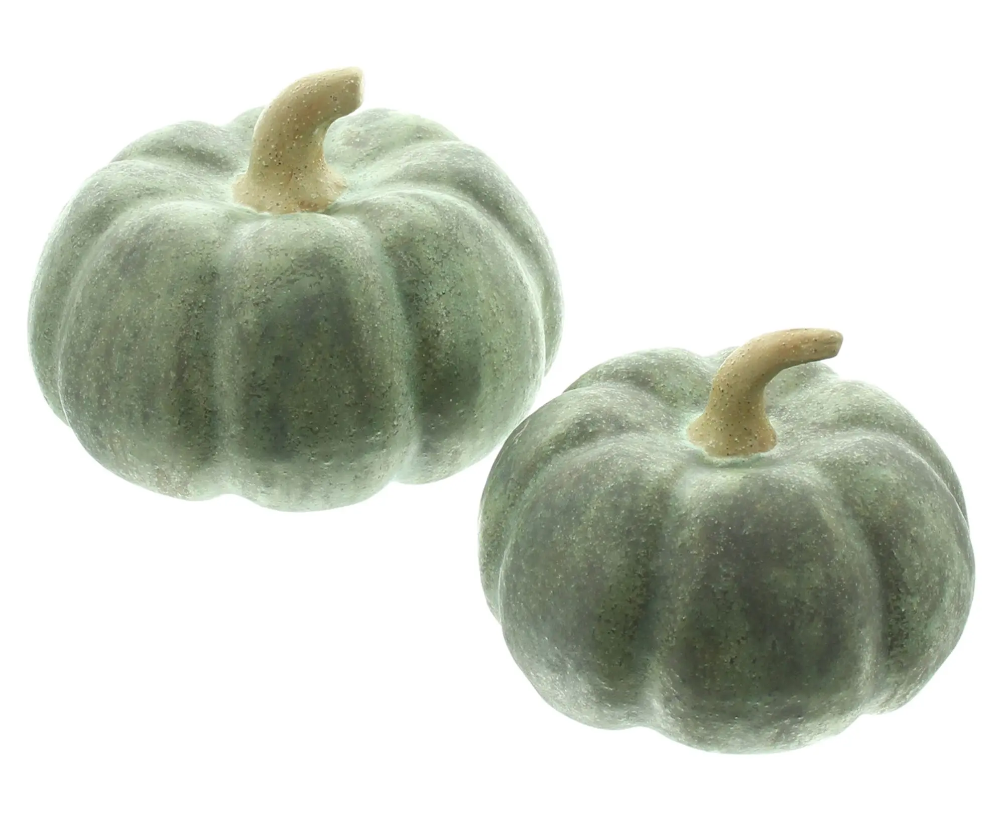Deko-Kürbis "Antik Green", 2er Set  im Frank Flechtwaren Online Shop für Dekokürbisse kaufen