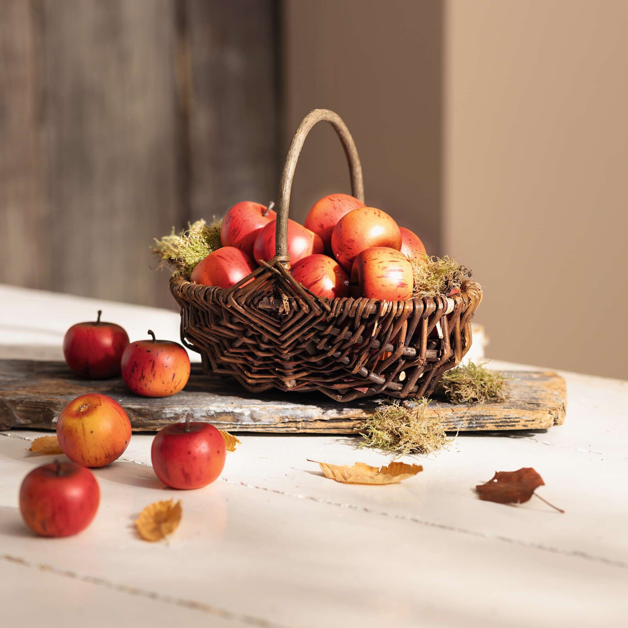 Apfel "Rot", 12er Set im Frank Flechtwaren Online Shop für Herbst kaufen Apfel "Rot", 12er Set im Frank Flechtwaren Online Shop für Herbst kaufen