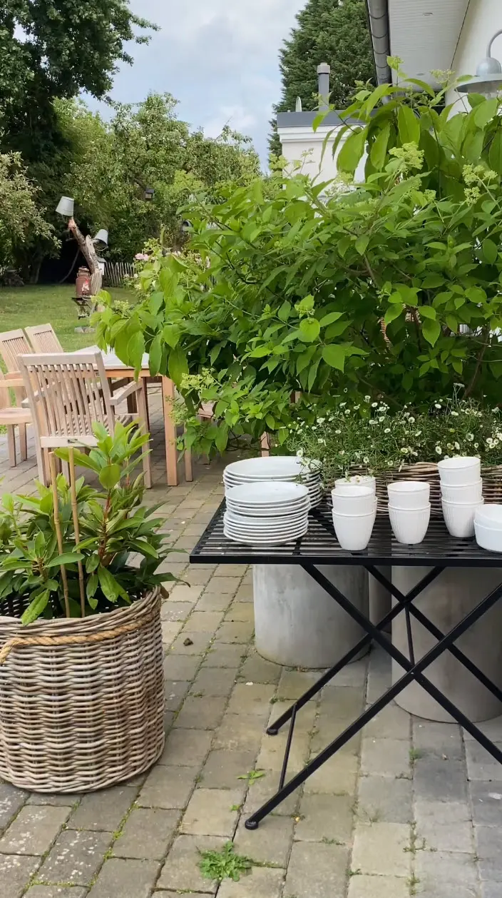 Pflanzkorb: geflochtener Weidenkorb mit grüner Pflanze als natürliche Terrassendekoration