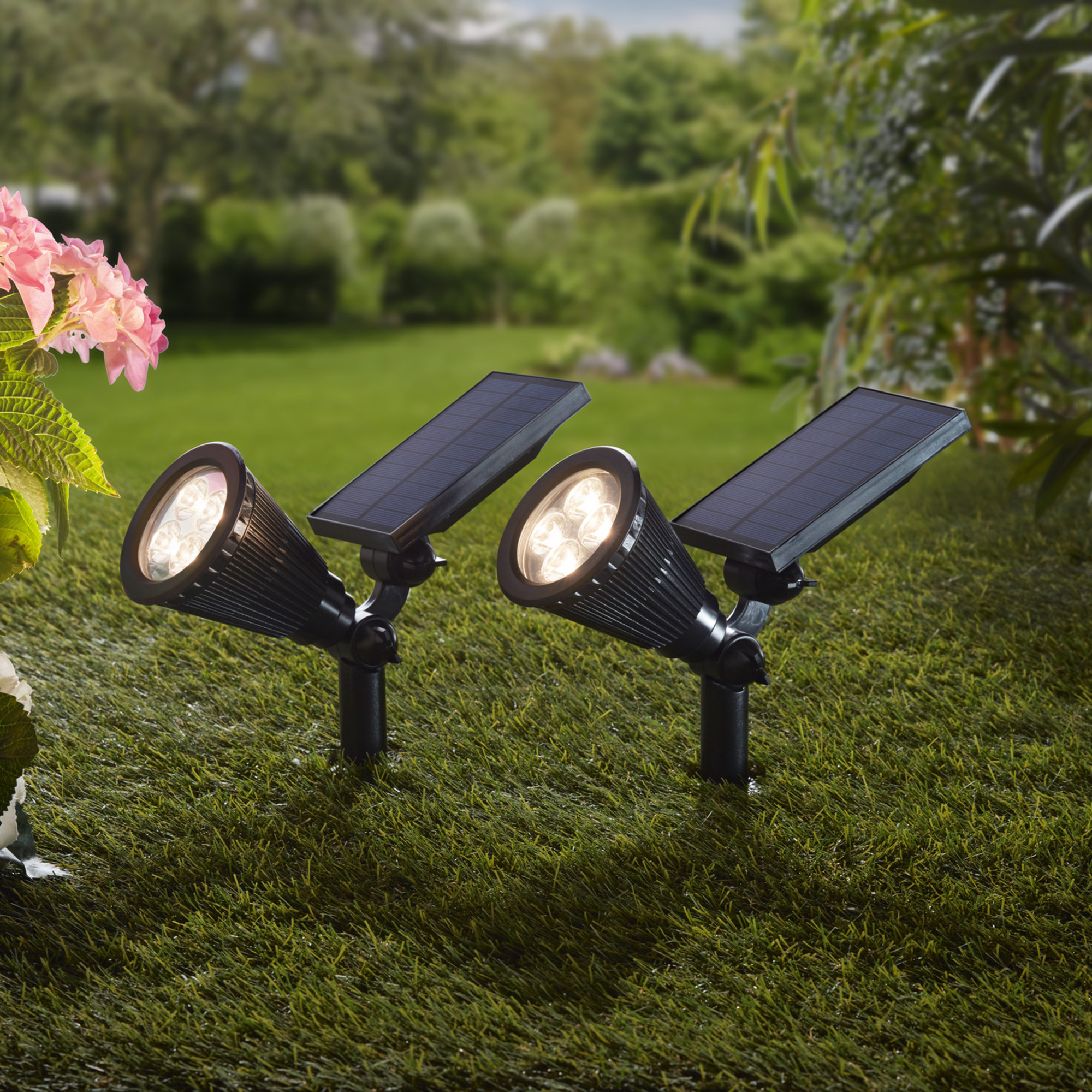 LED-Solarstrahler "Spotlight" im Frank Flechtwaren Online Shop für Gartenbeleuchtung kaufen LED-Solarstrahler "Spotlight" im Frank Flechtwaren Online Shop für Gartenbeleuchtung kaufen