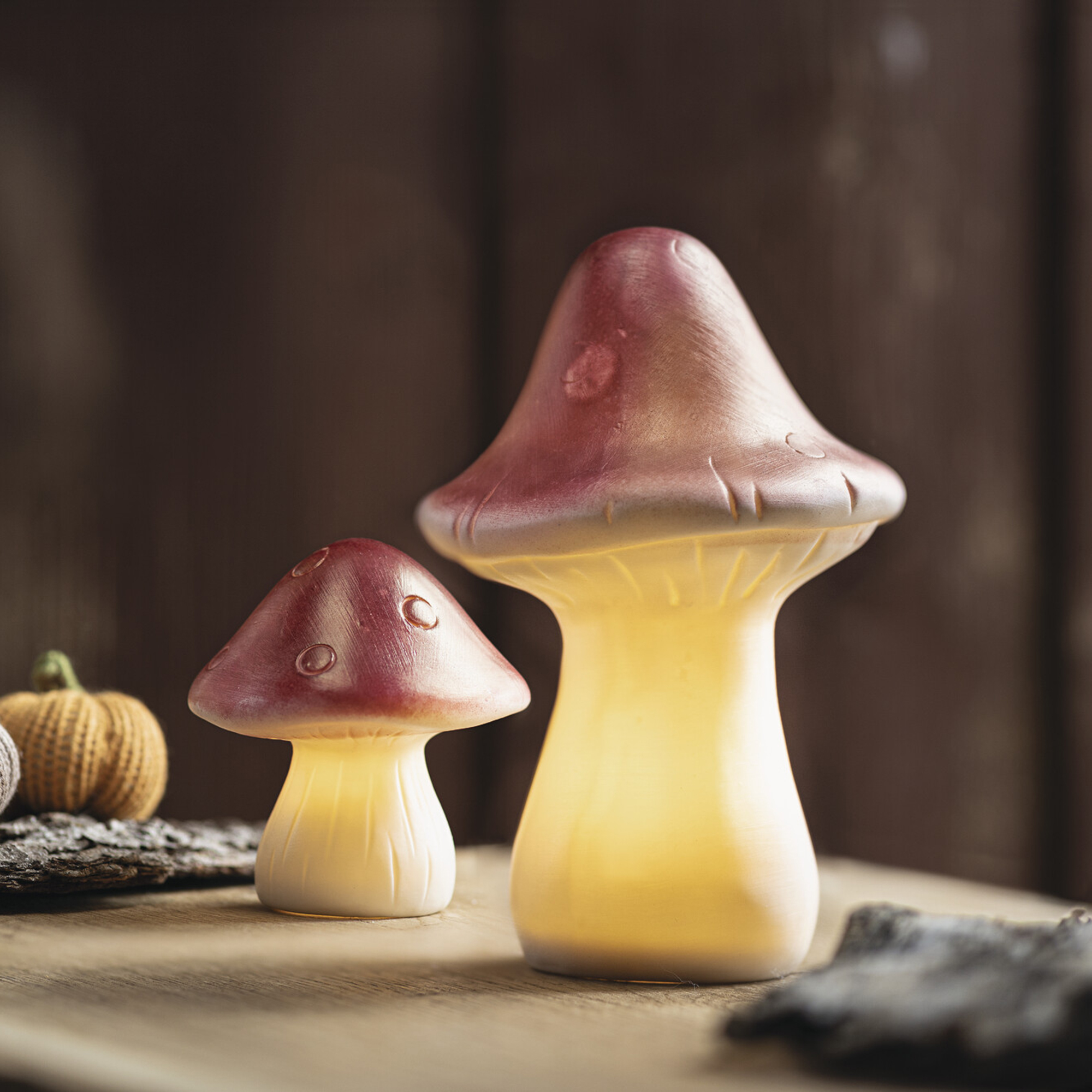 LED-Deko "Pilz", 2er Set  im Frank Flechtwaren Online Shop für Herbst kaufen